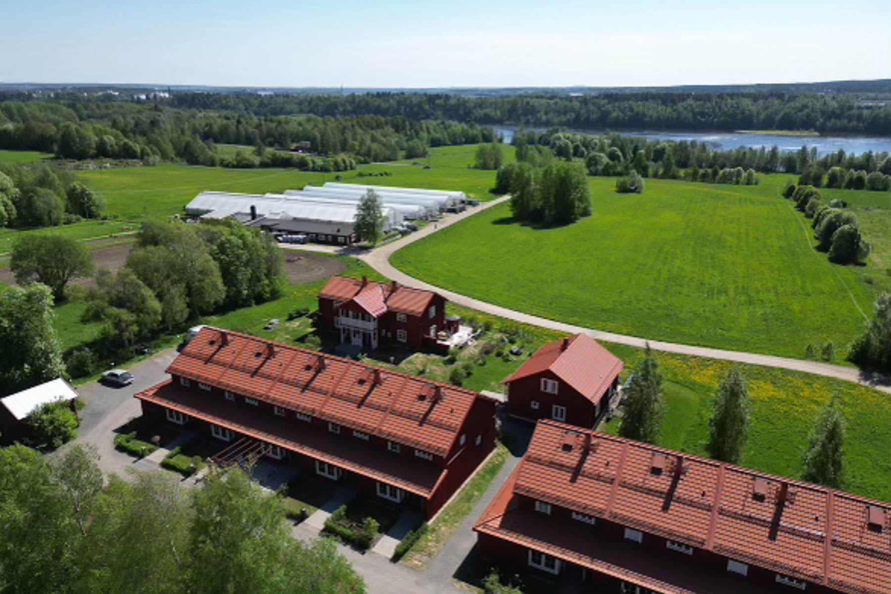 Säljarnas bild - Område