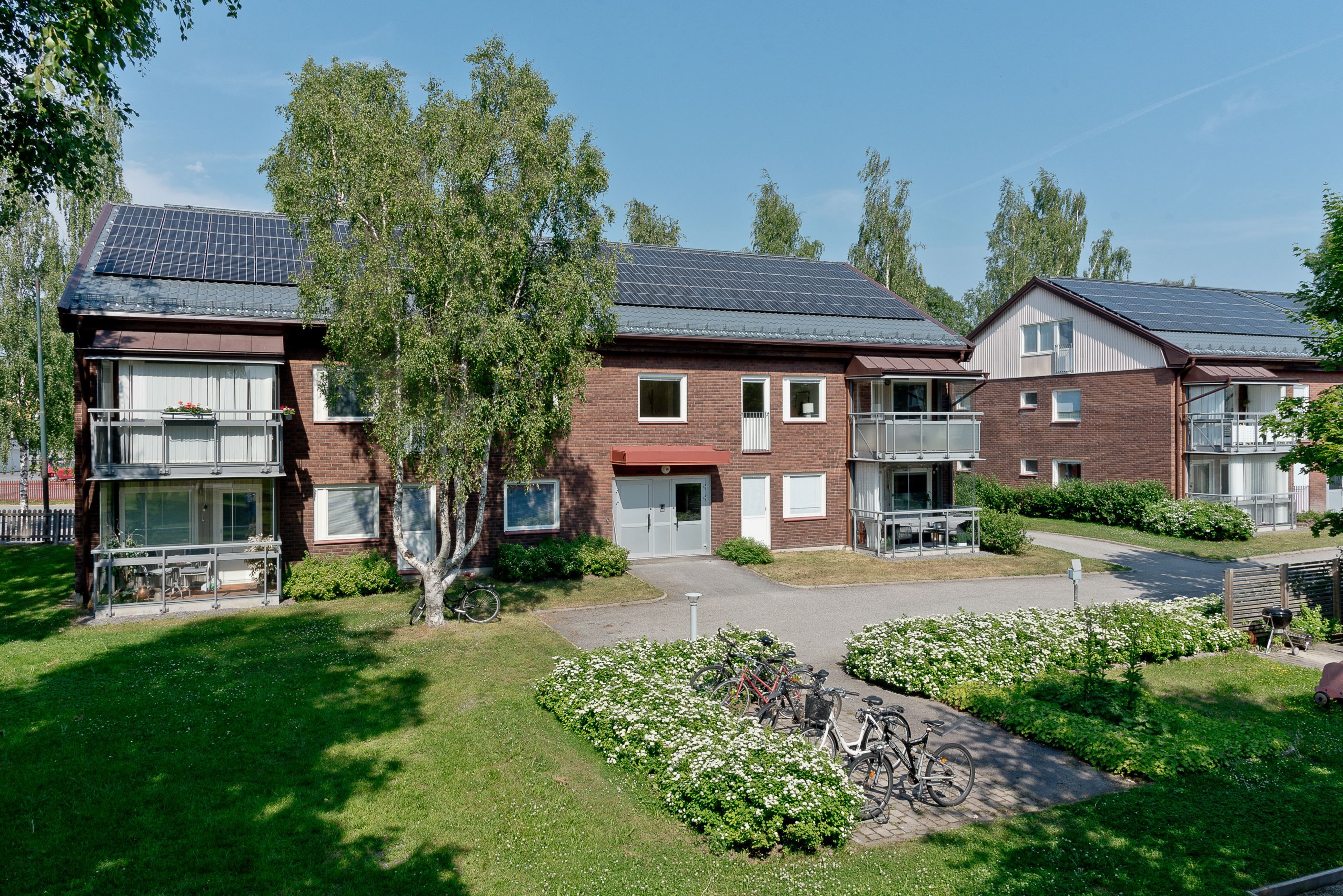 Sommarbilder - innergård