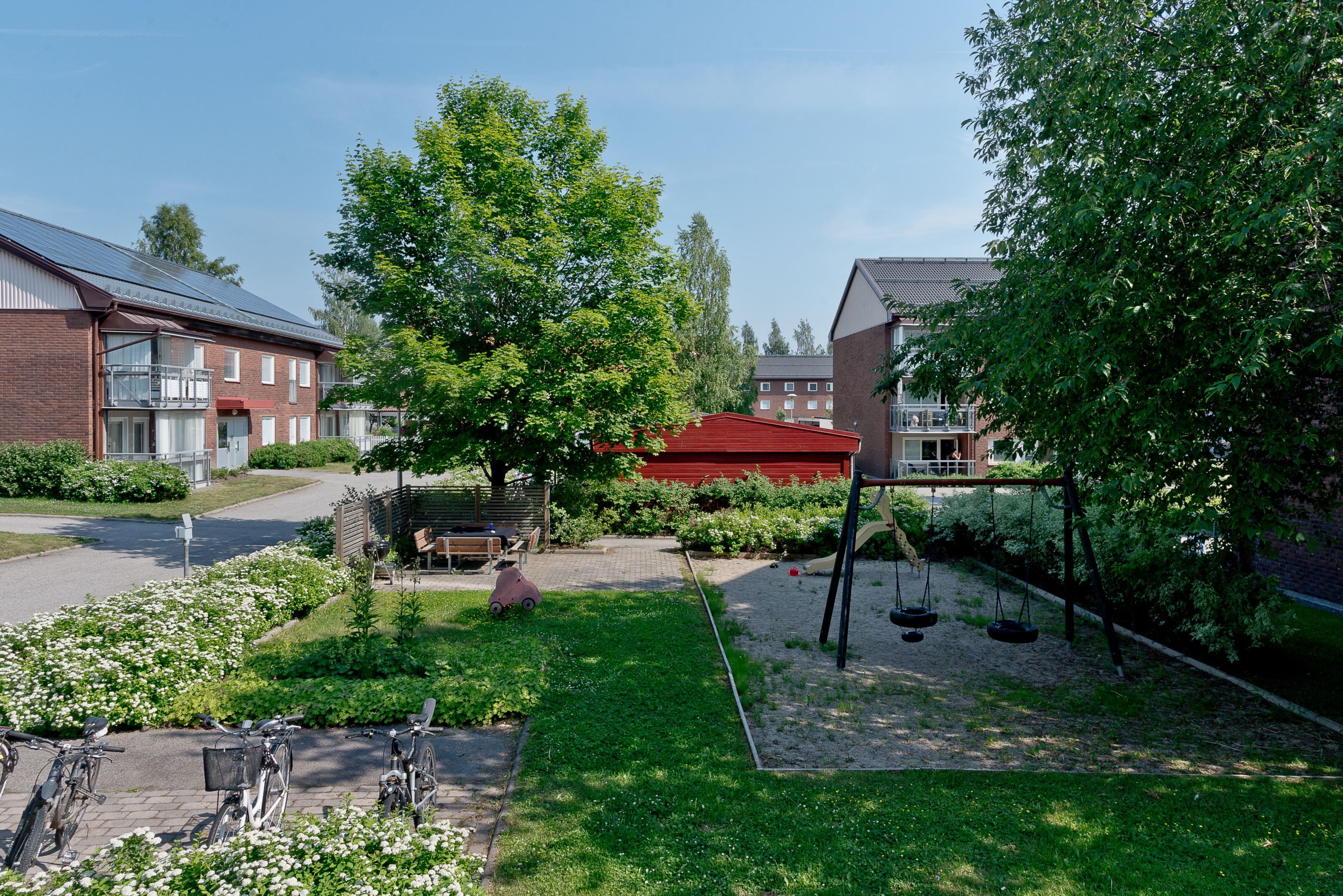 Sommarbilder - innergård