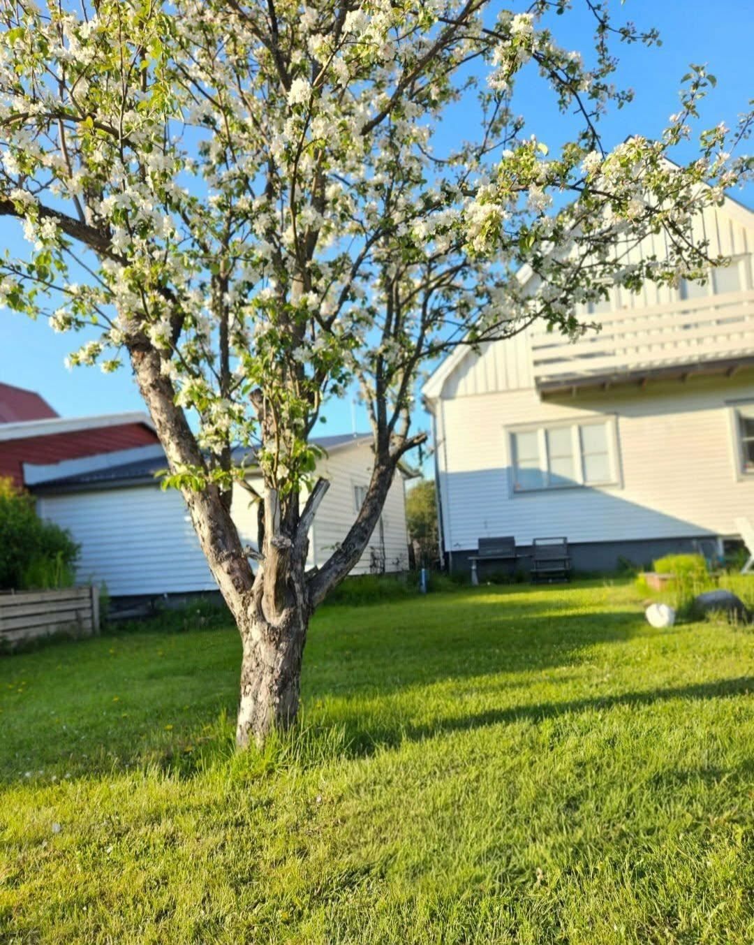 Säljaren egna bilder