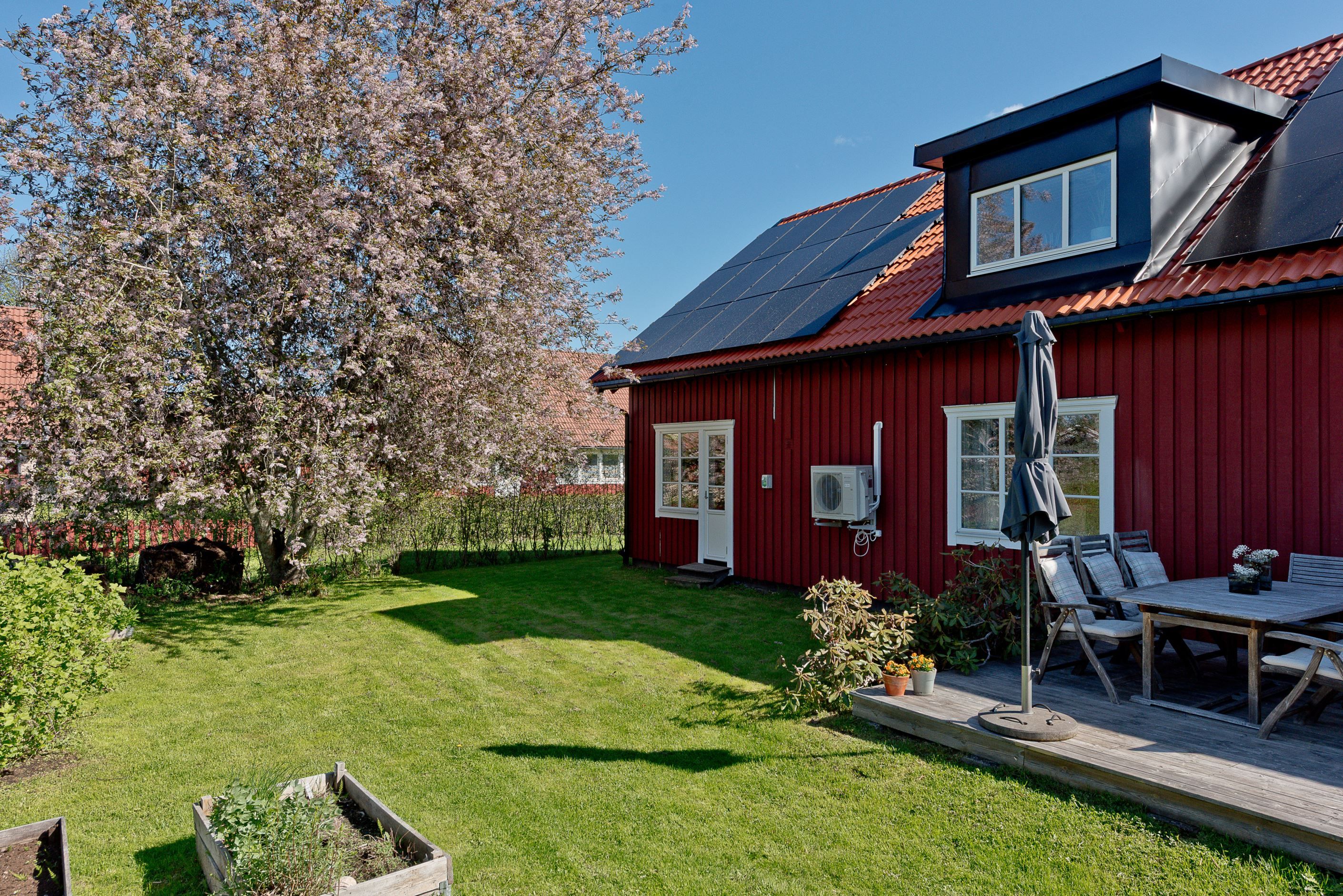 Grönskande tomt