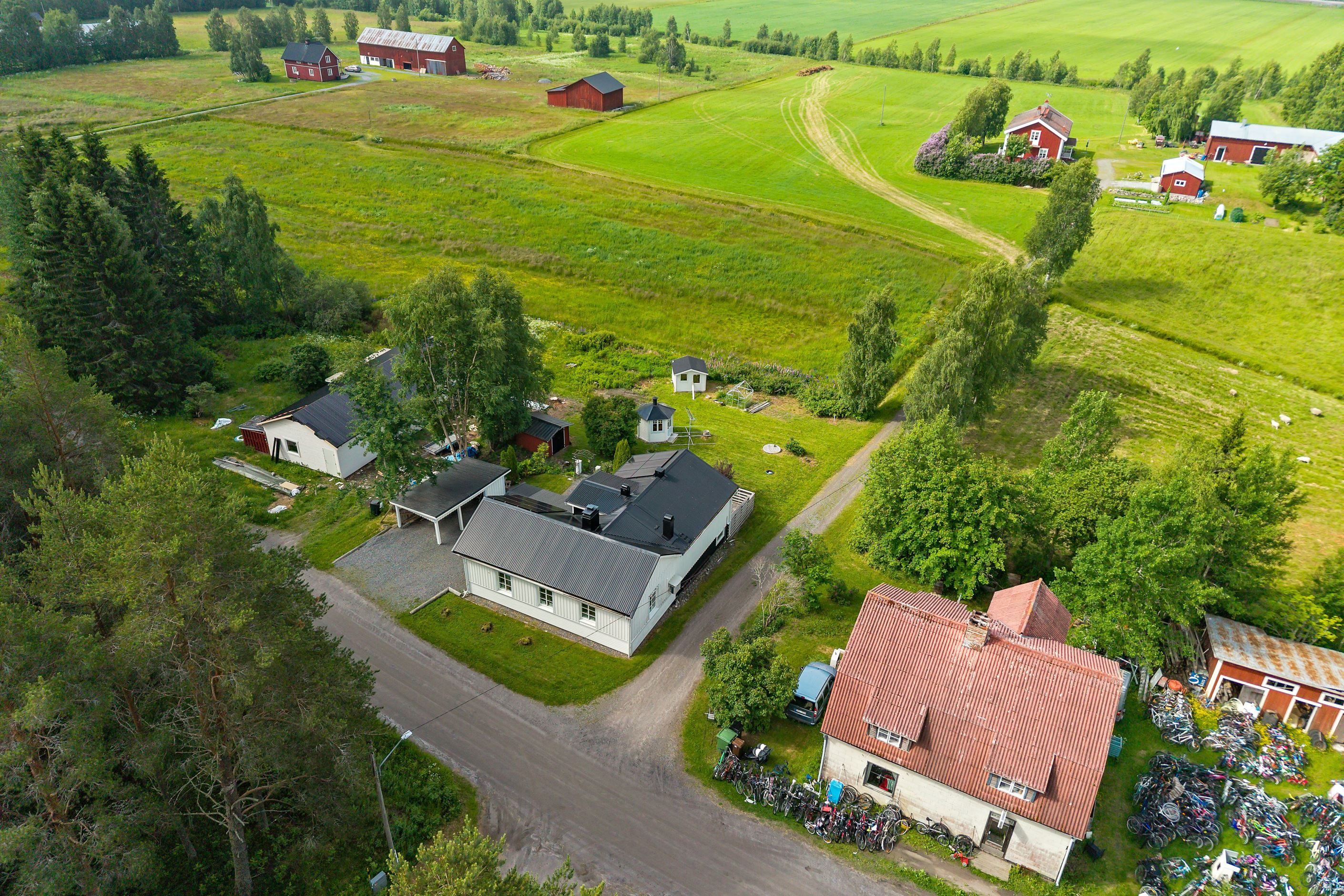 Utsikt över gröna fält