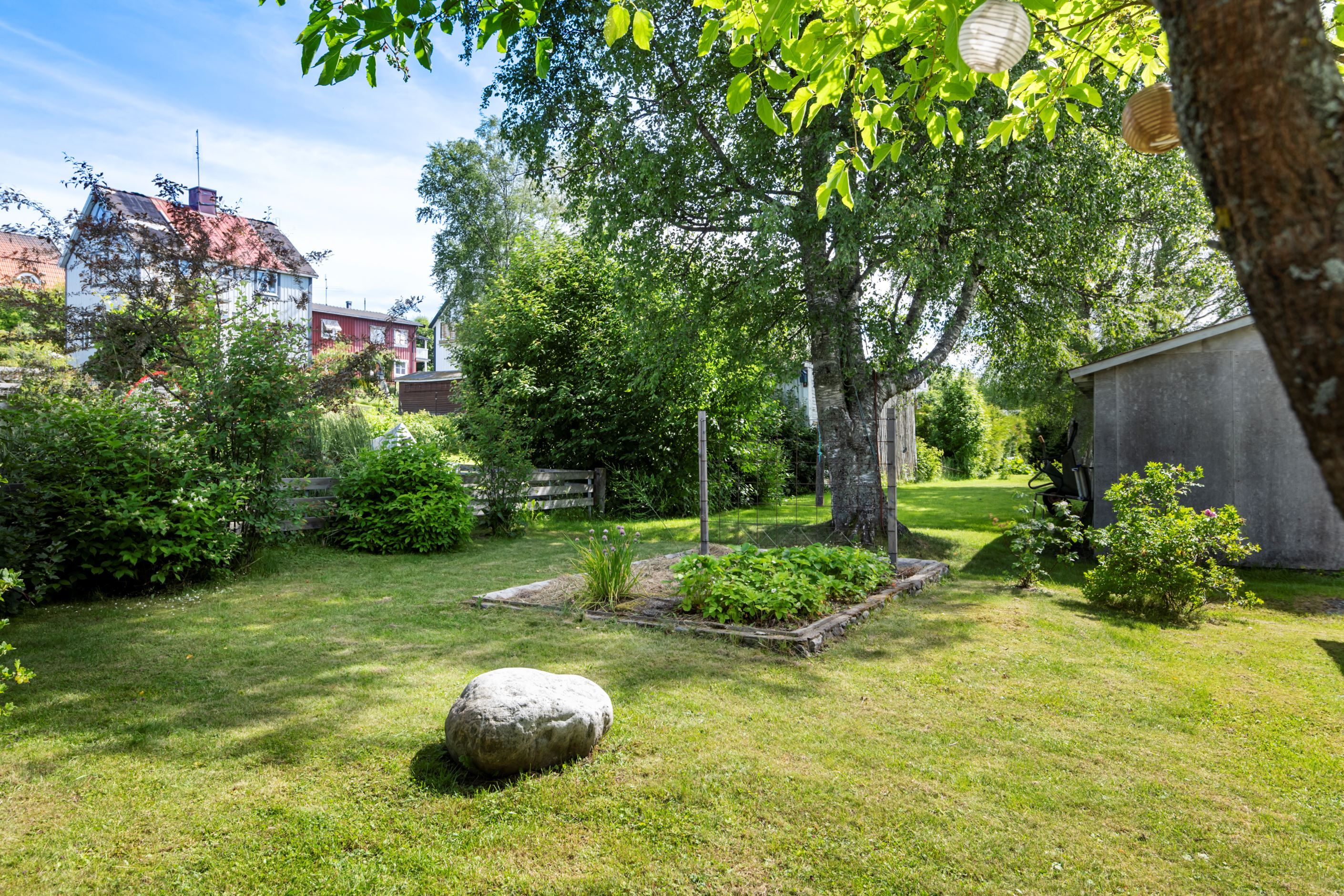 Trädgård