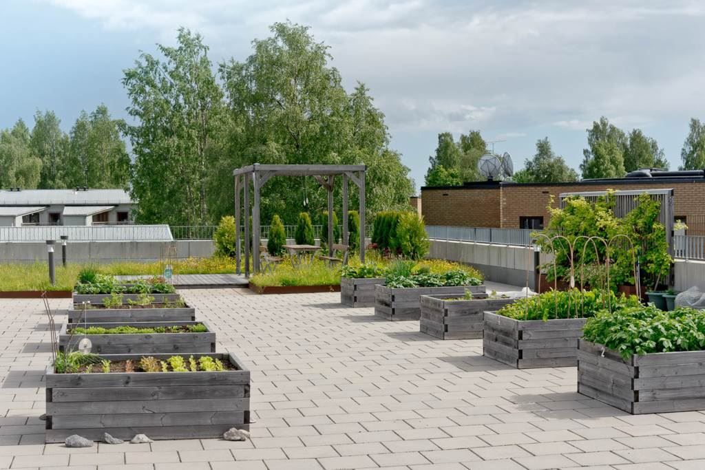 Odlingslådor