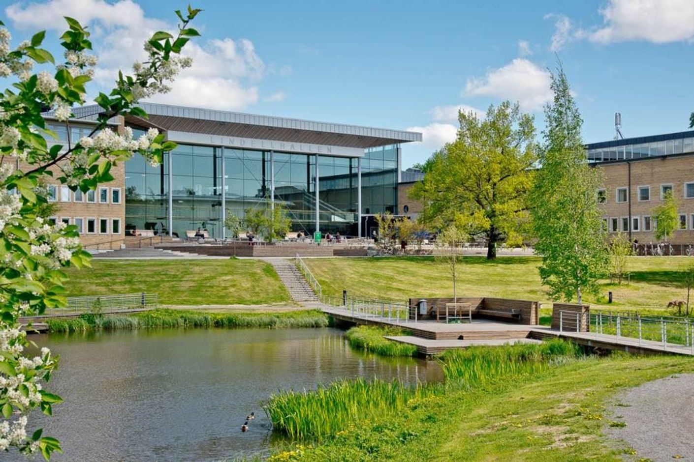 Lågupplöst Områdesbild Universitet