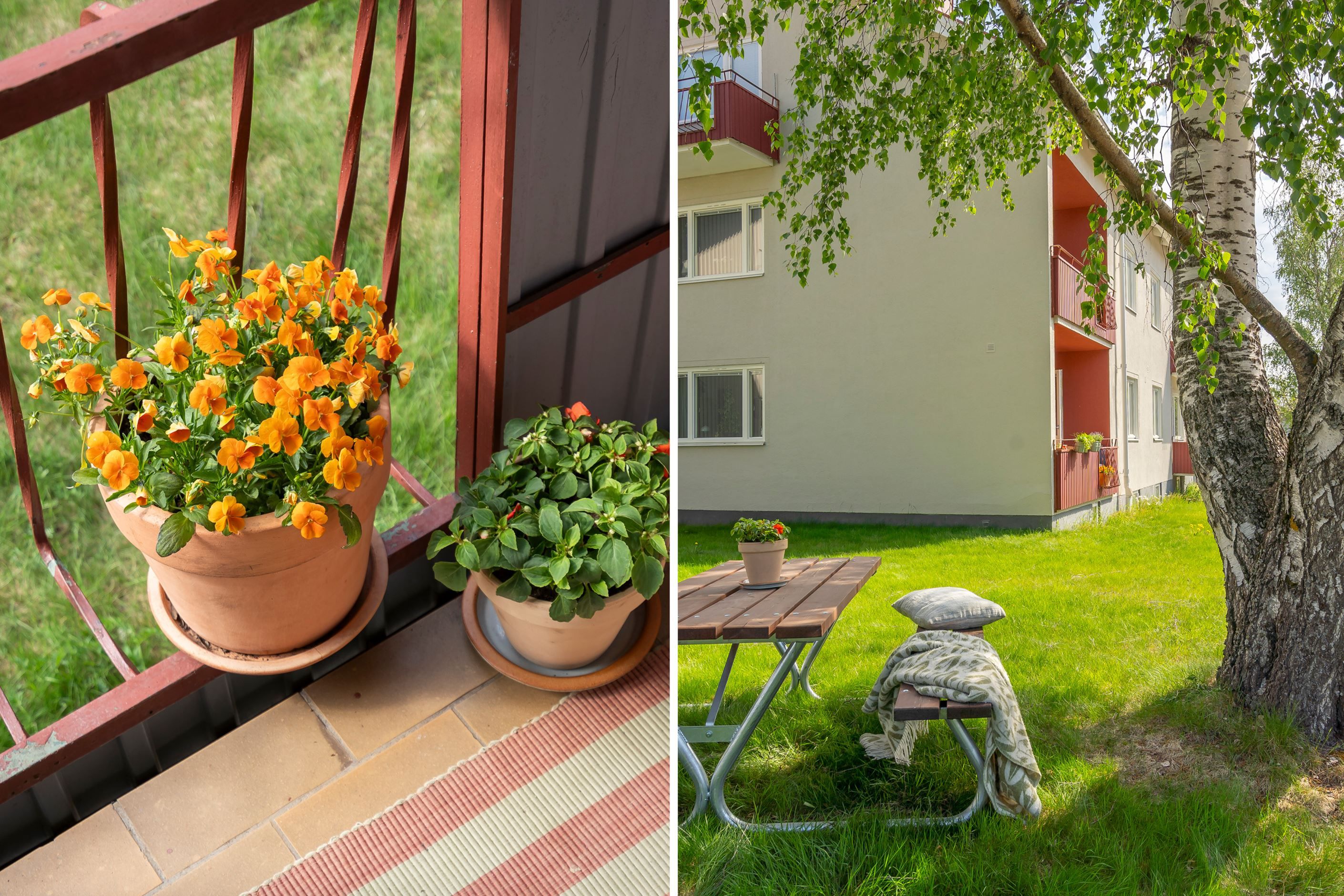 Balkong i sydvästläge / Föreningens grönområde