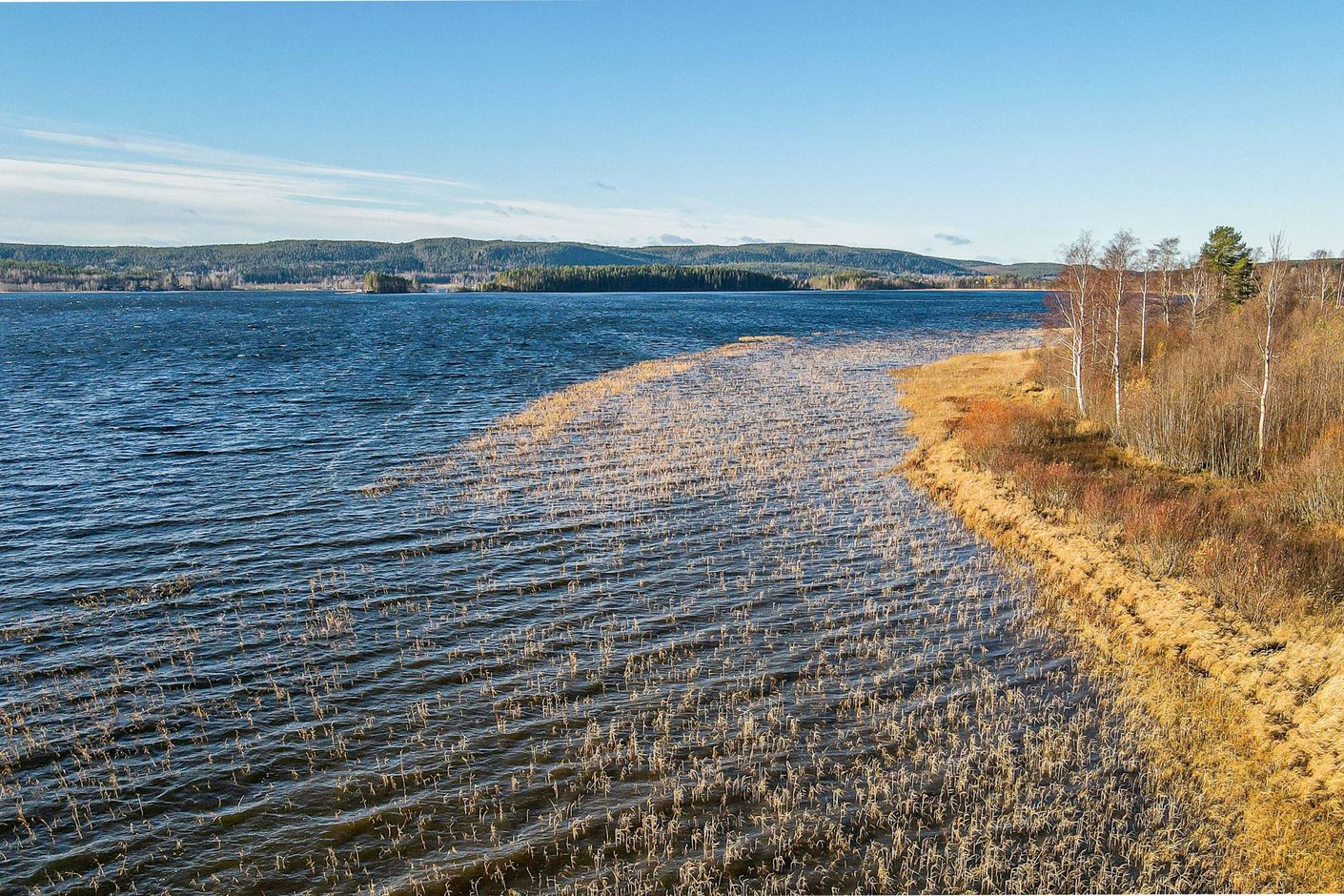 Tavelsjön