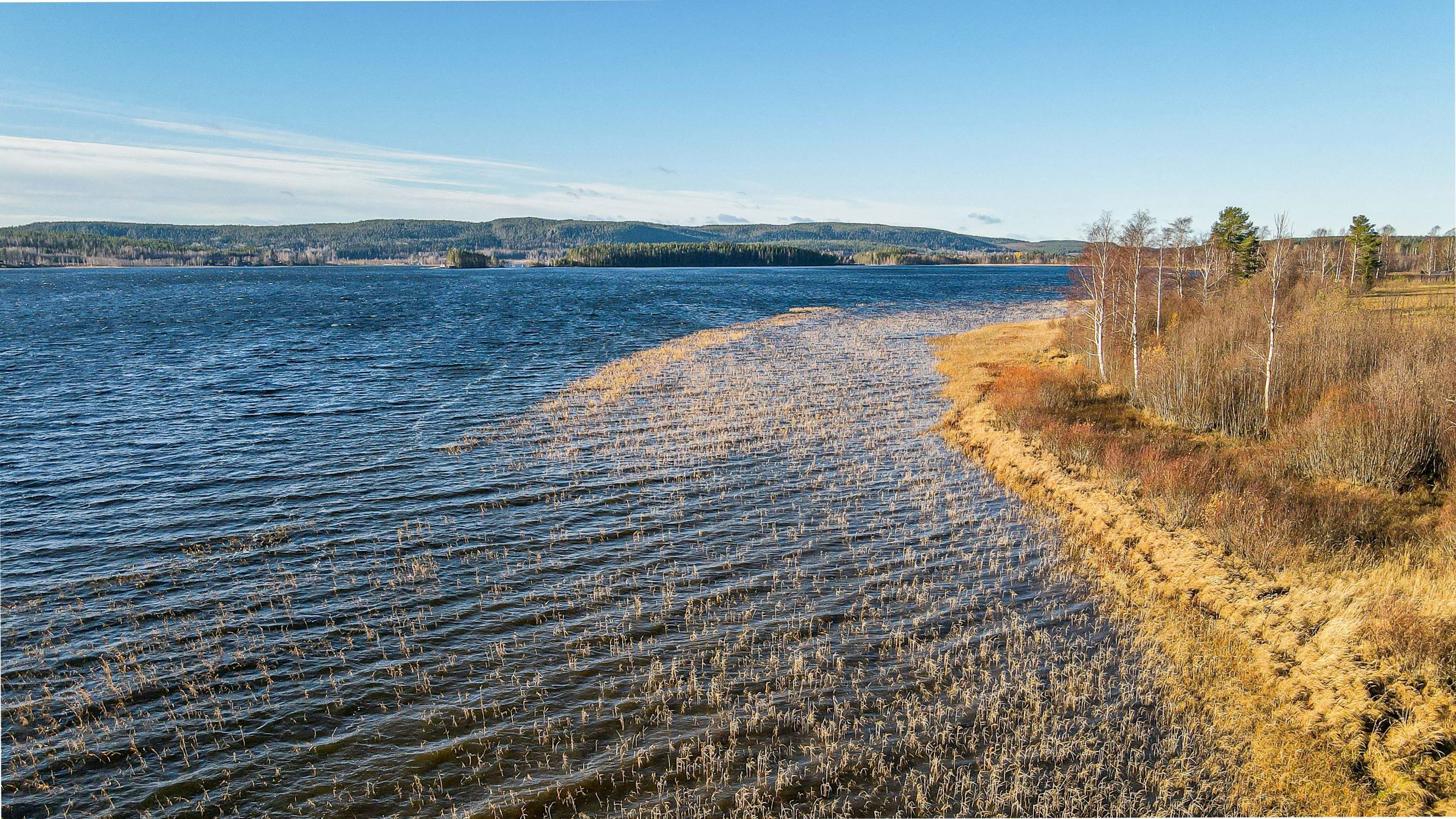 Tavelsjön