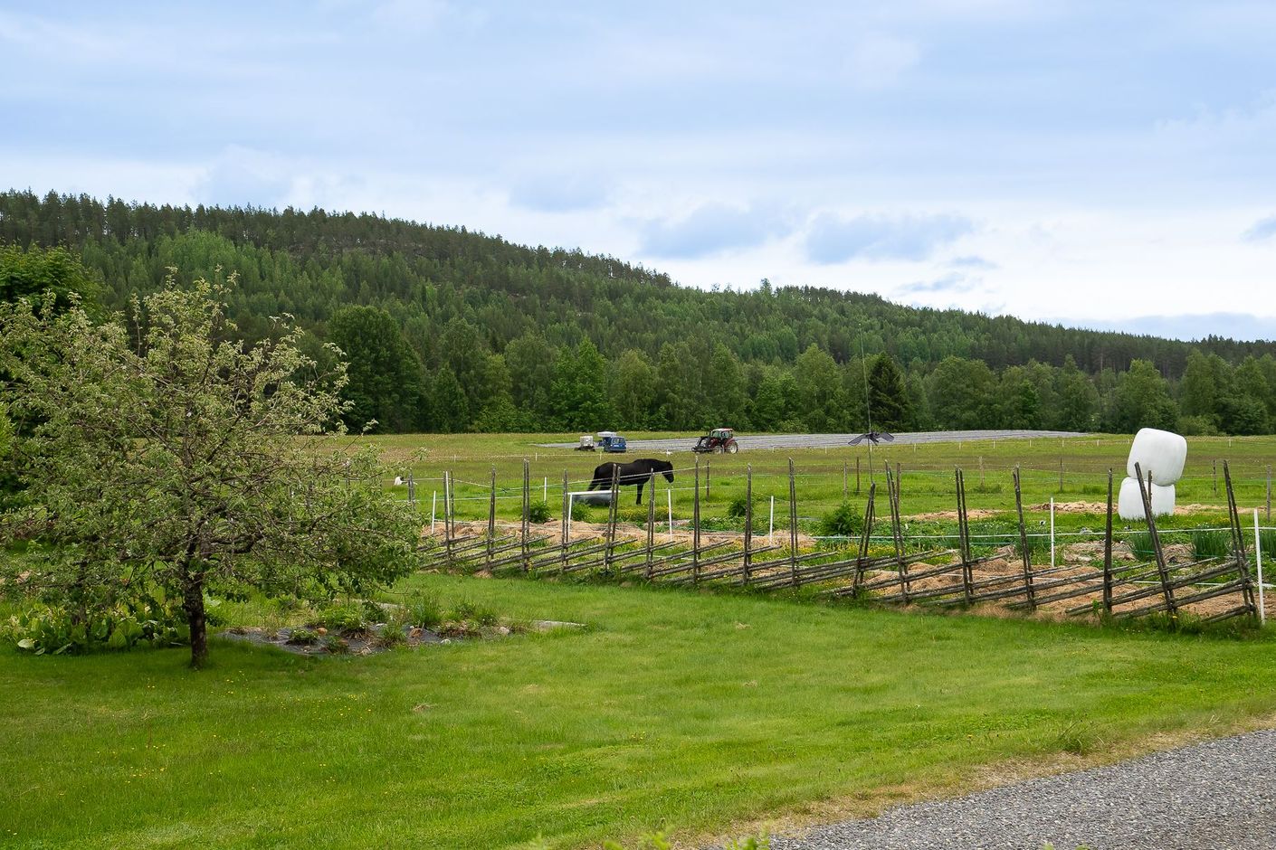 Utsikt från köksfönstret