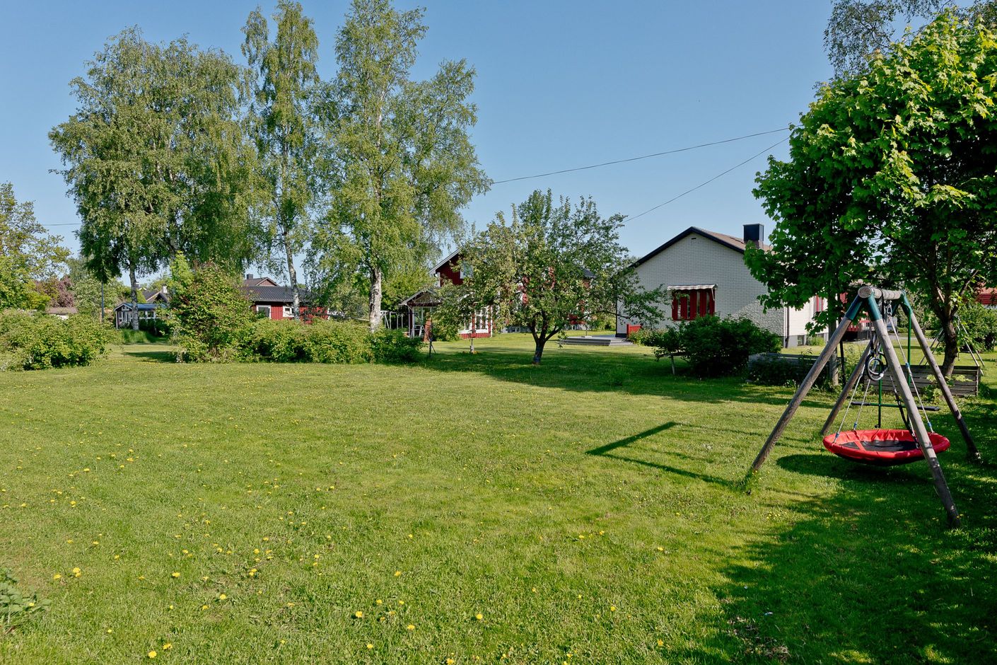 Samägd yta