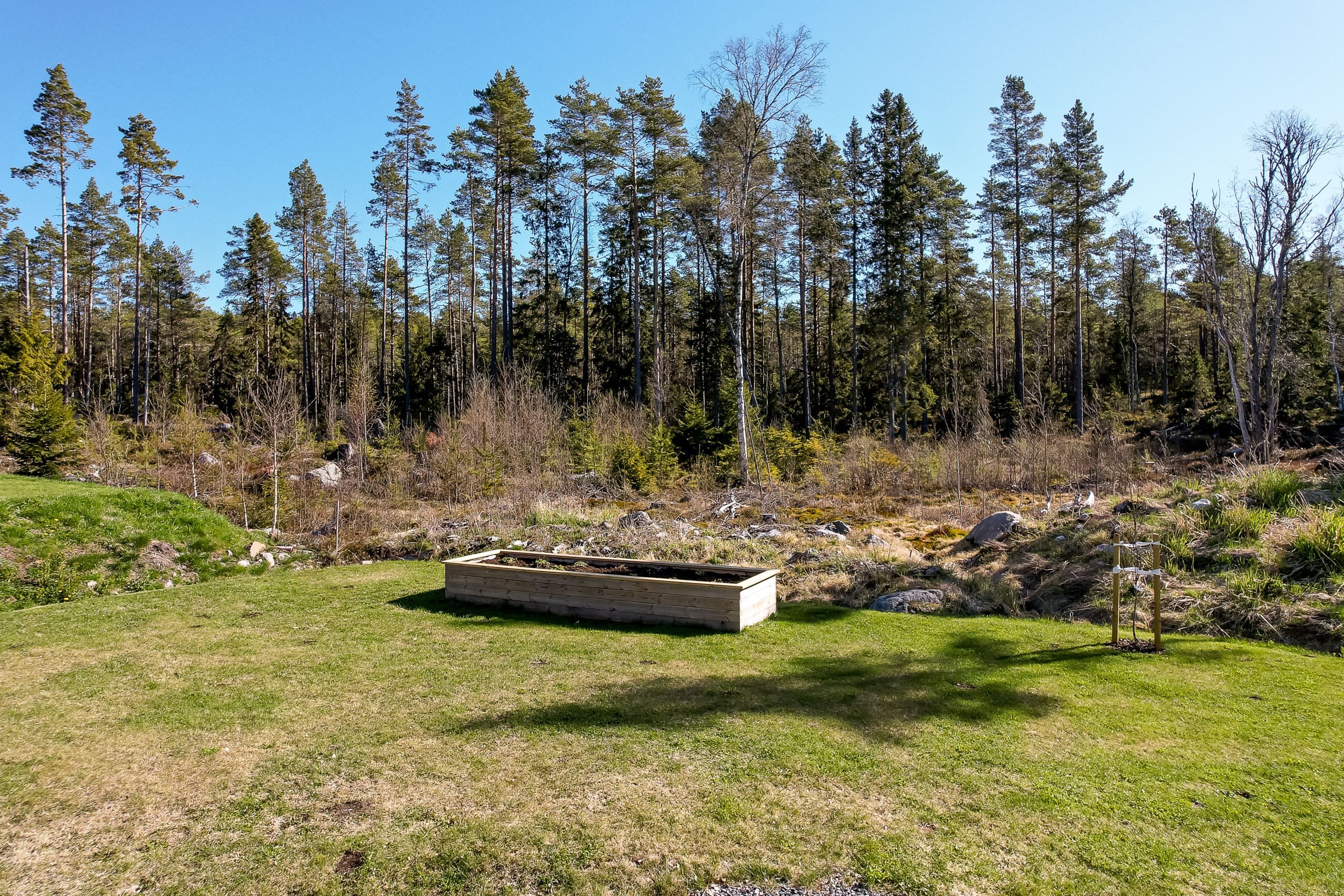 Närhet till härlig tallskog