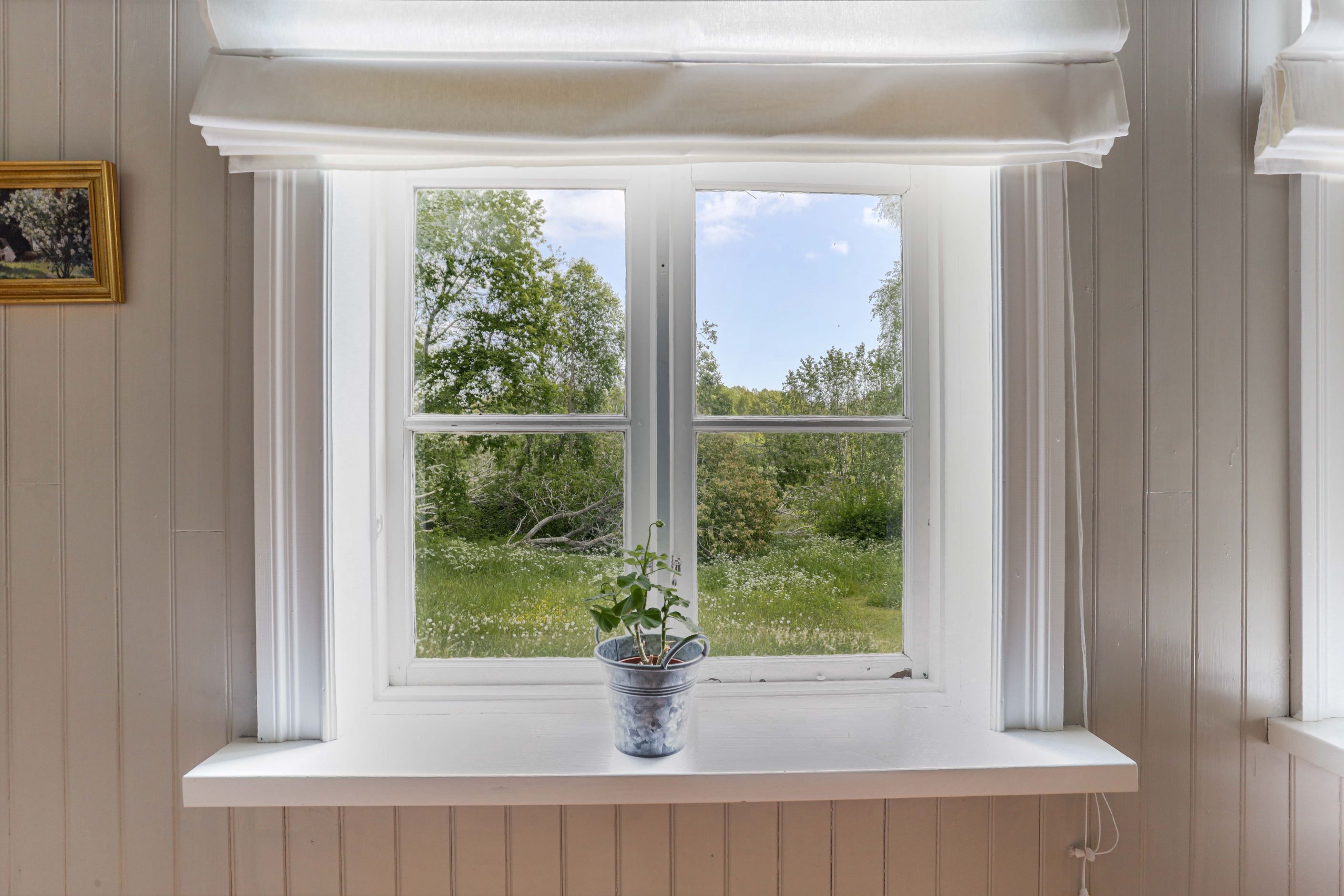 Fönster i vardagsrum