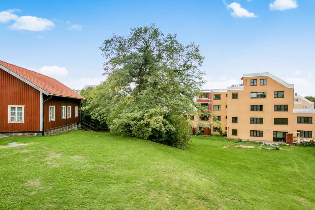 Lågupplöst Områdesbild sommar