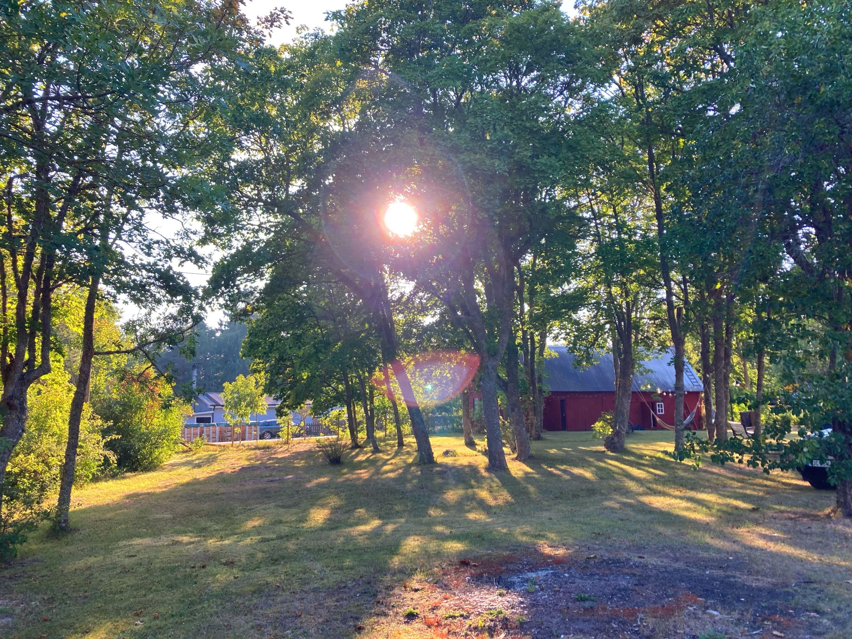 Säljarens privata bild