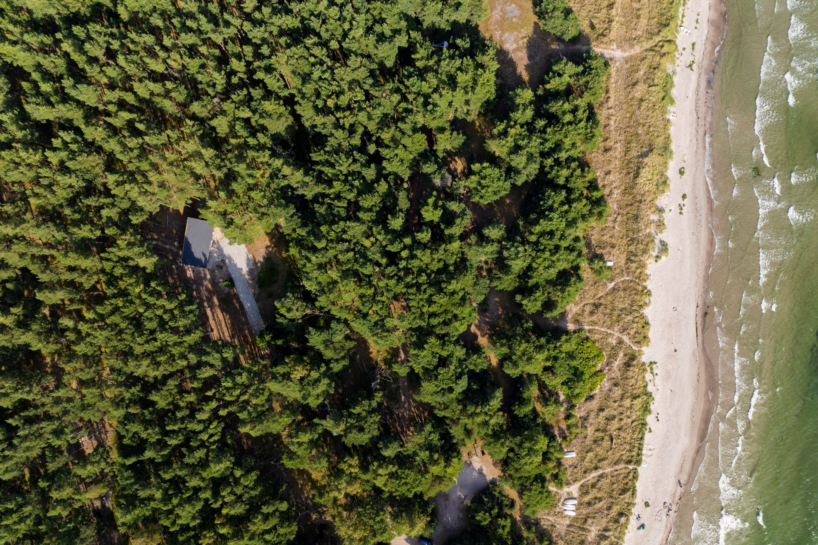 Unikt läge vid vackra Holmhällar strand, Vamlingbo