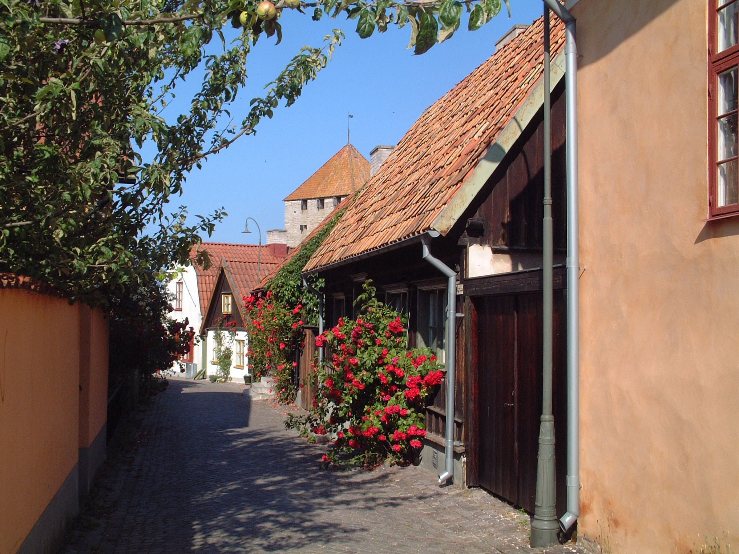 Gränd i Visby