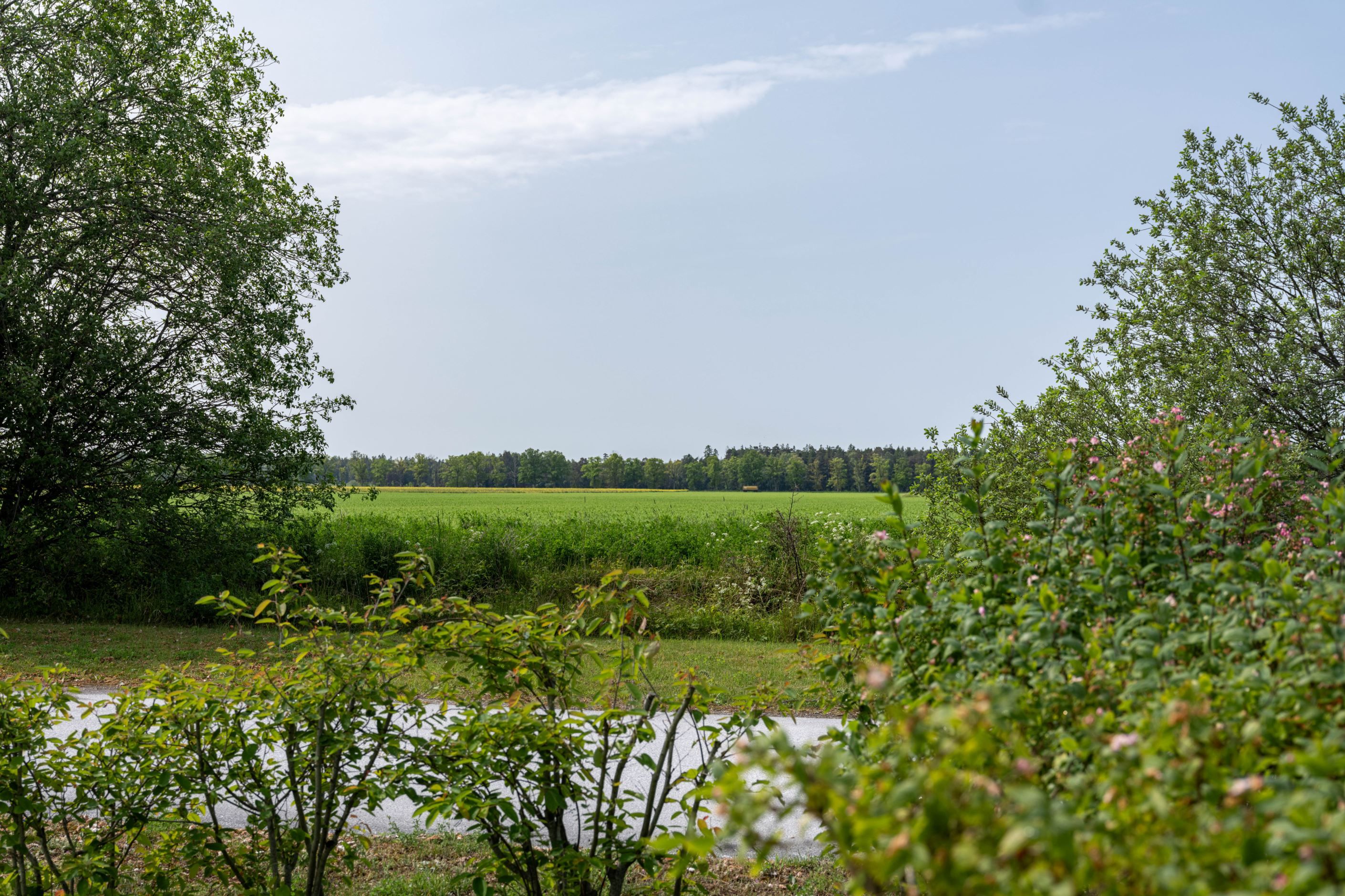 Vy mot åker