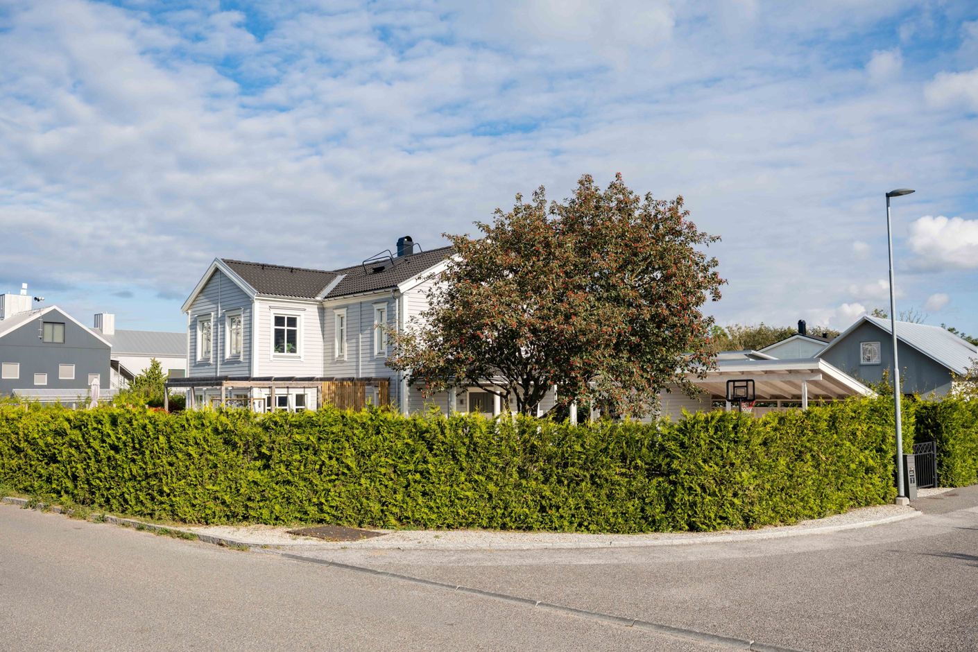 Exteriör