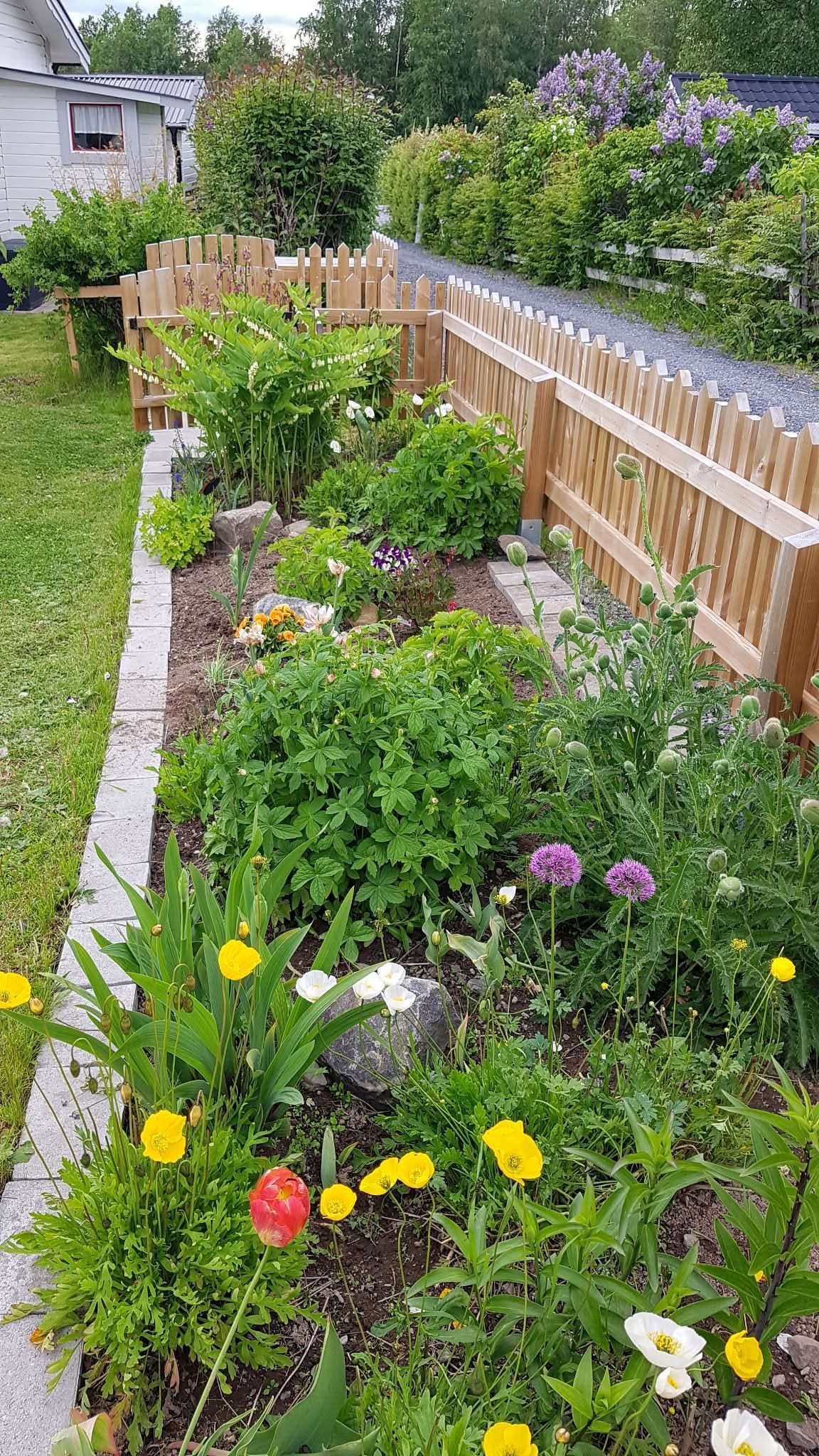 Säljarens egna bilder