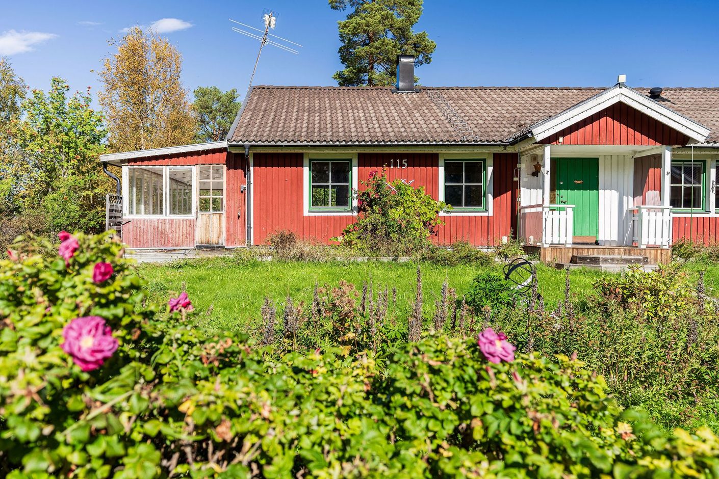 Exteriör