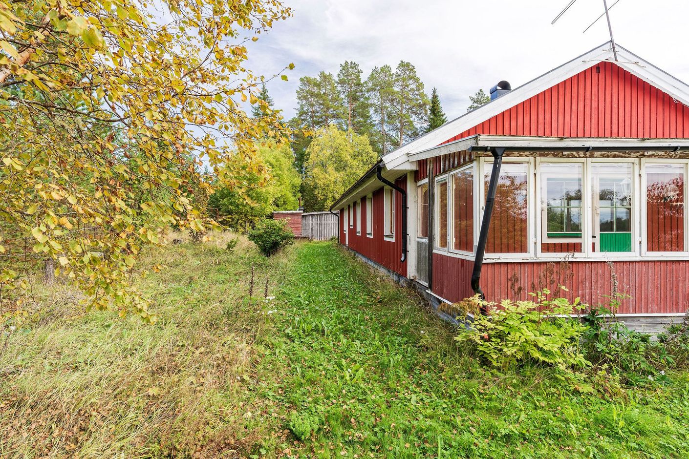 Exteriör