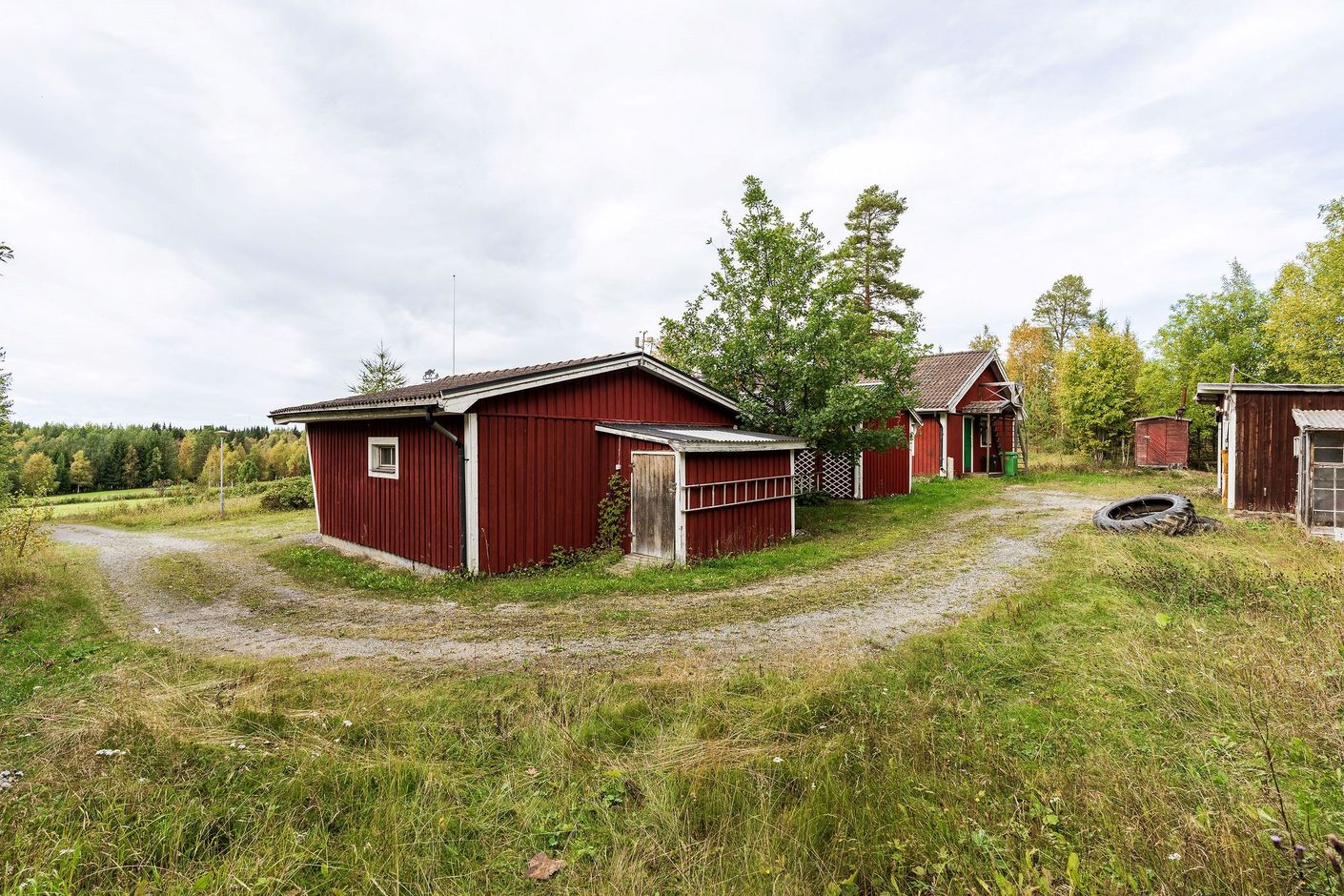Exteriör