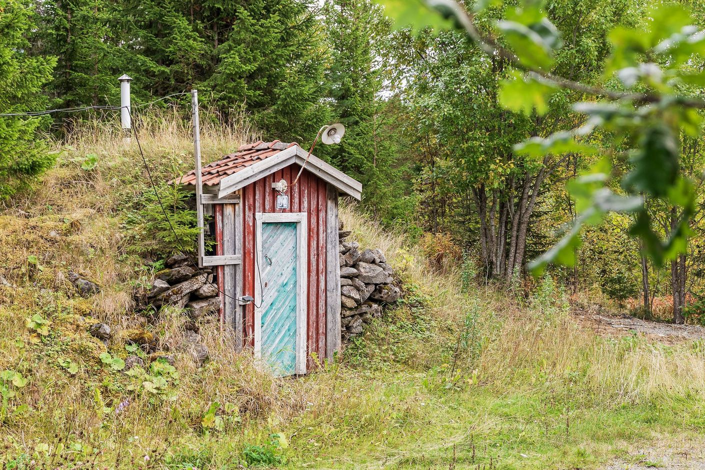 Exteriör