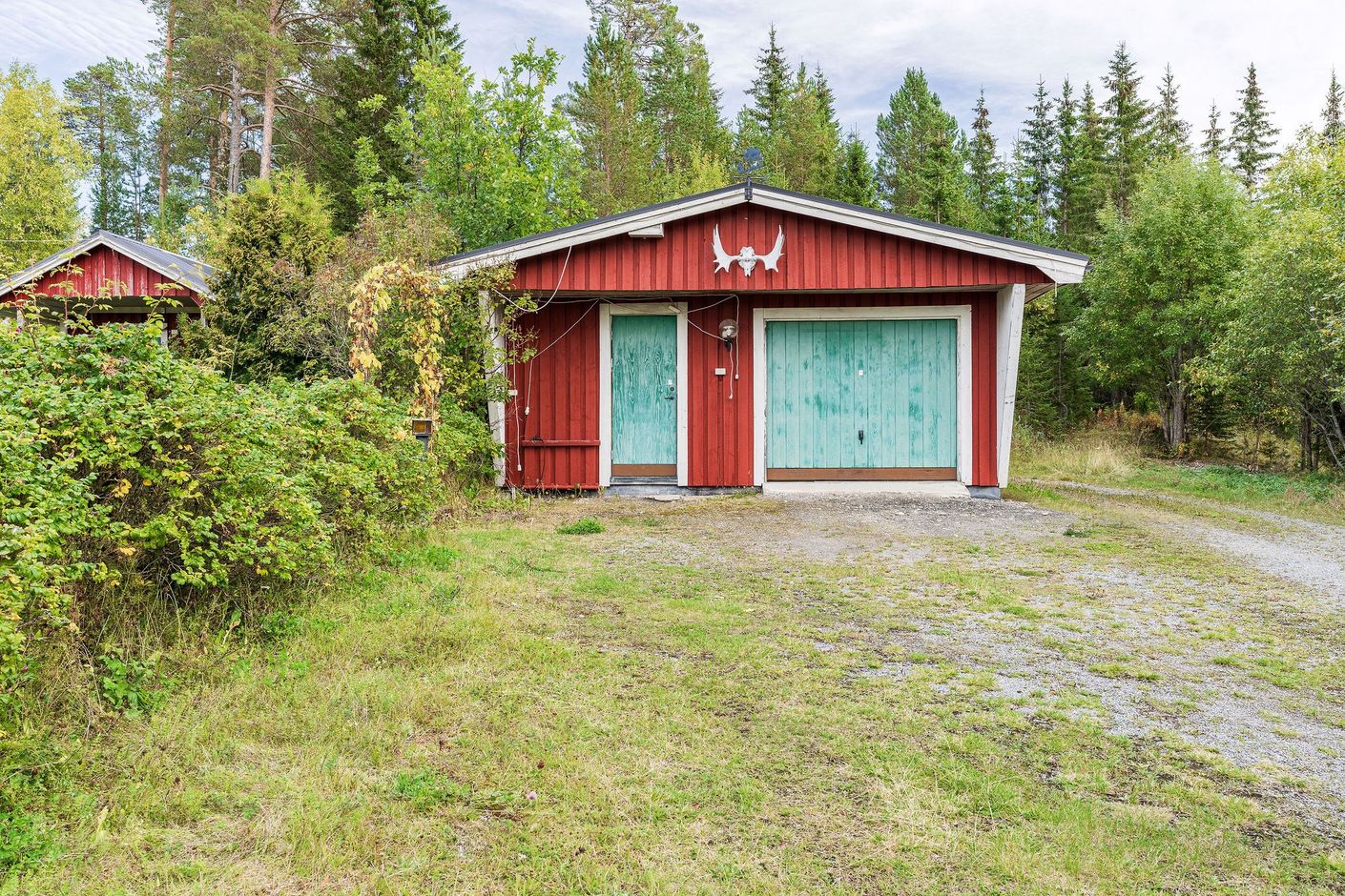 Exteriör