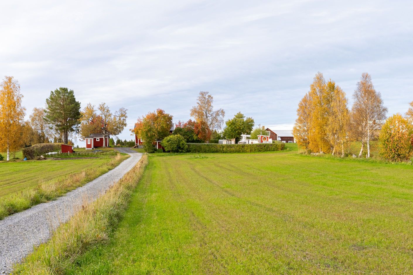 Exteriör