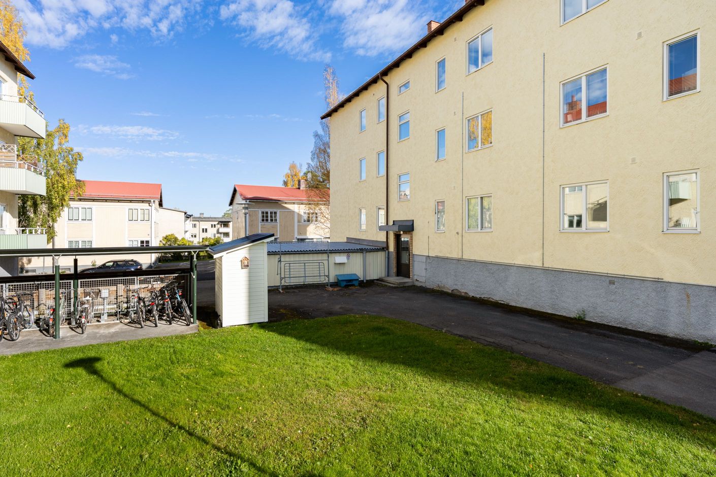 Exteriör