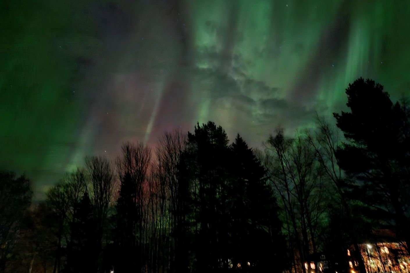 Säljares bilder