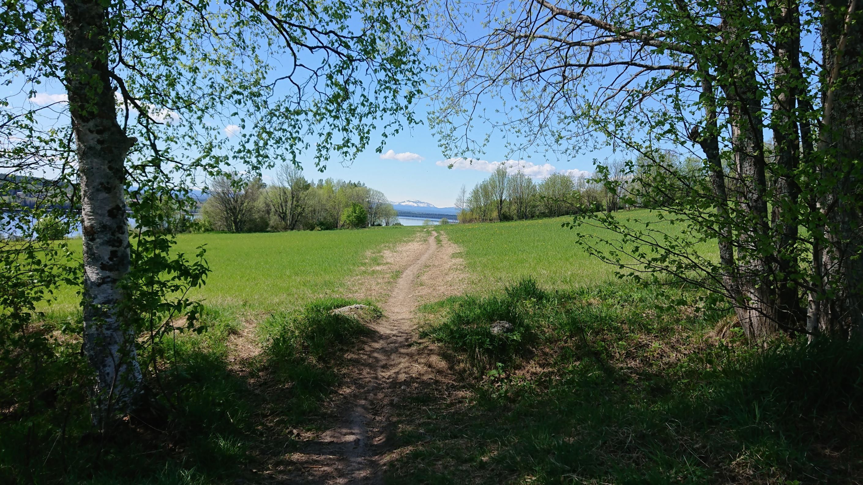 Säljarens bild