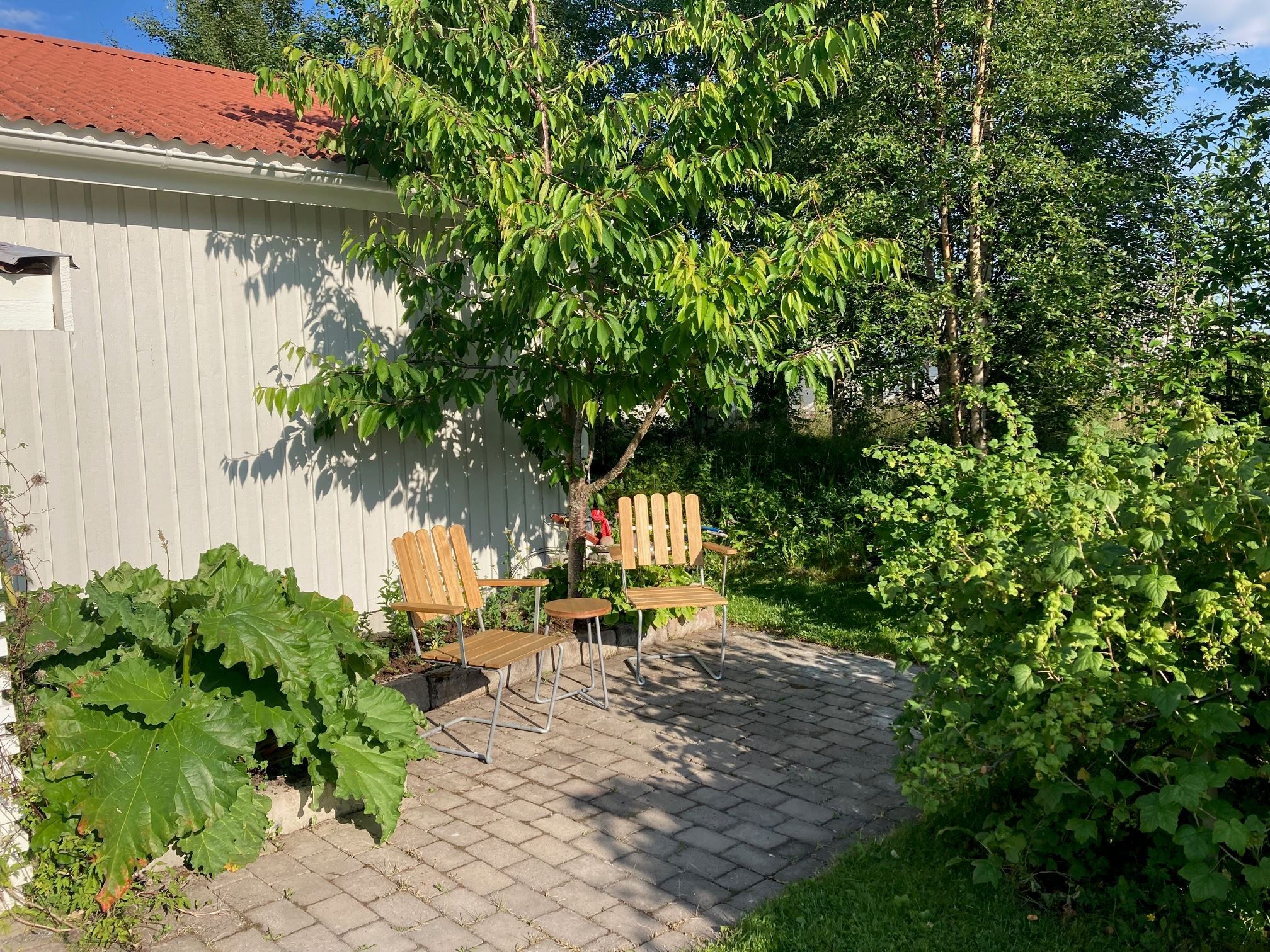 Områdesbild