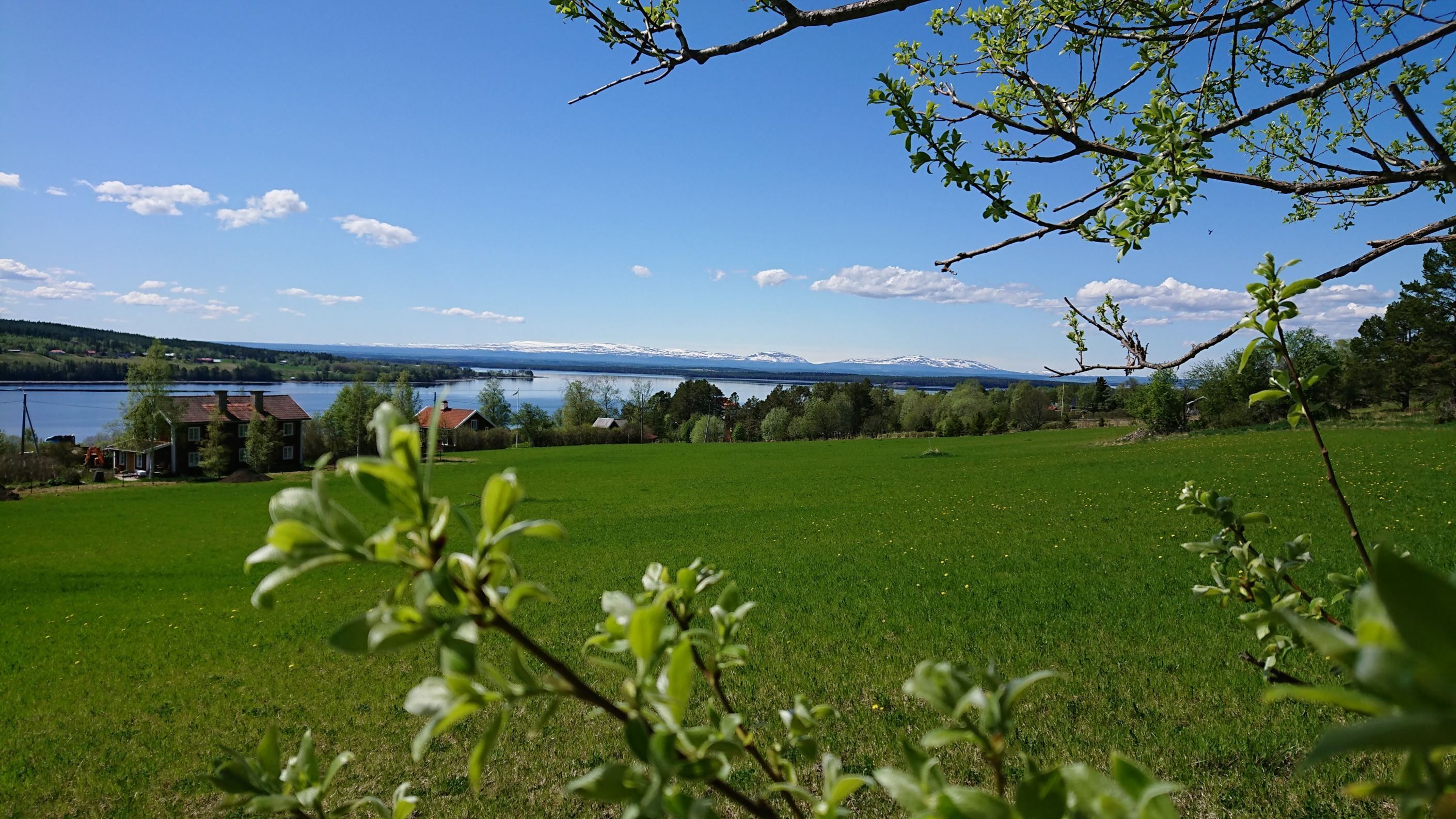 Säljarens bild