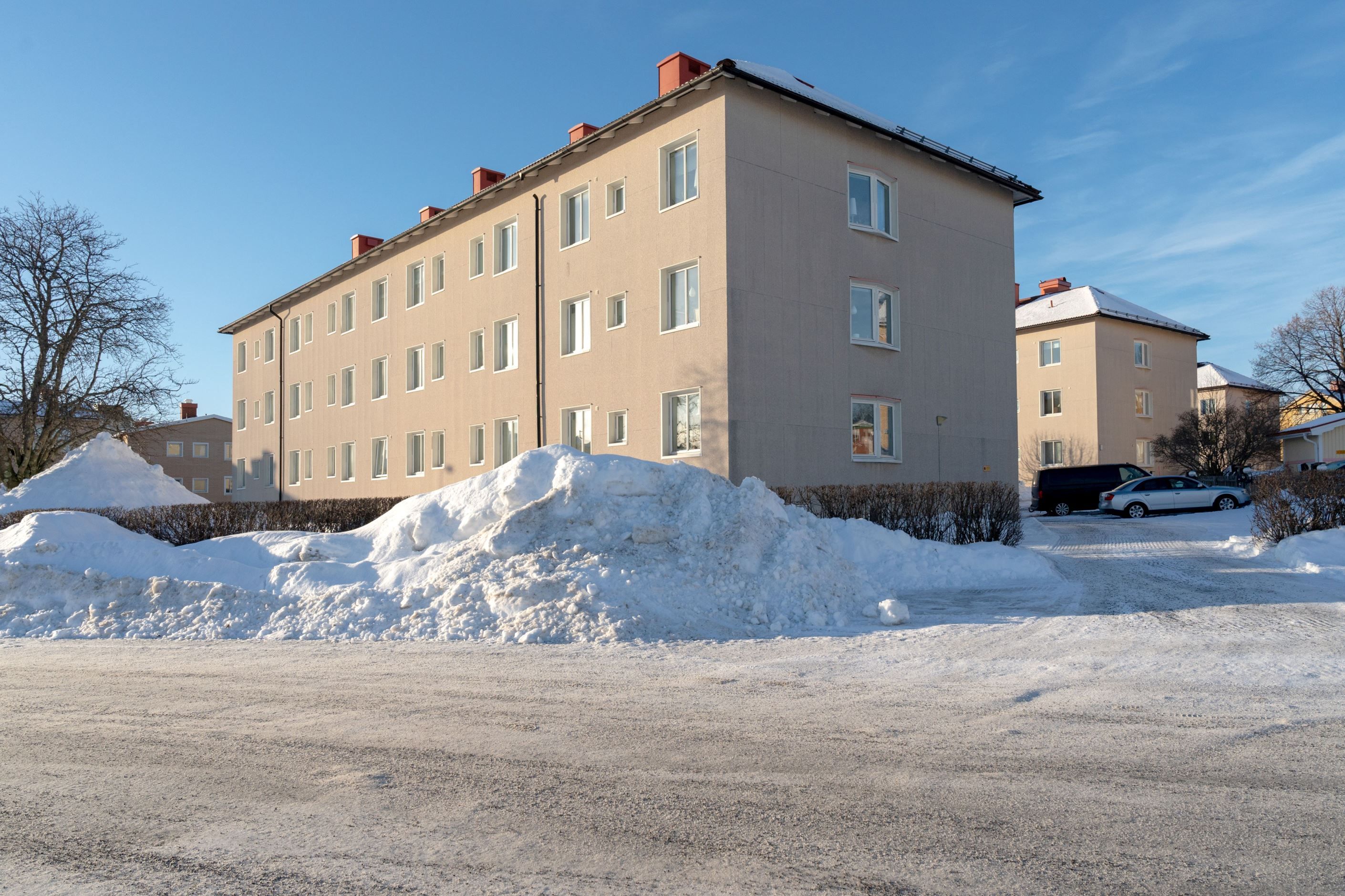 Exteriör