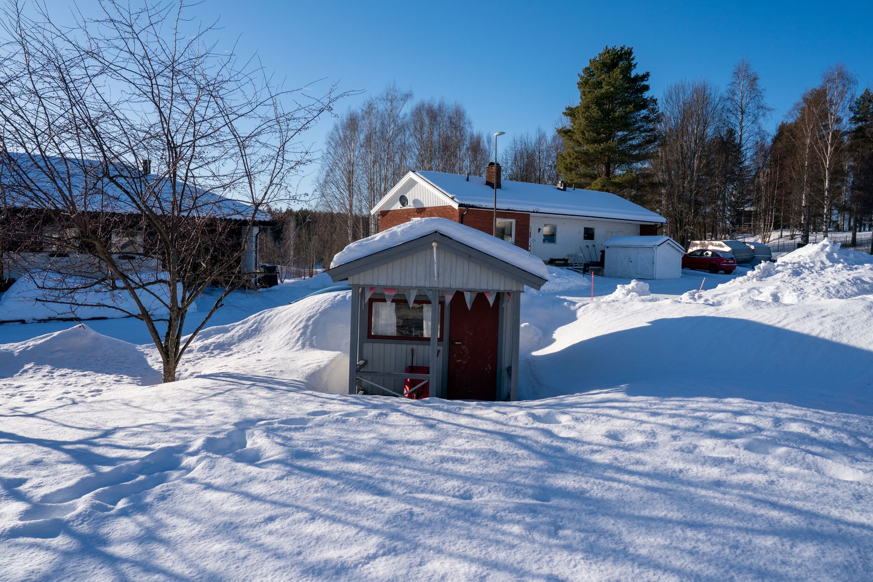 Exteriör