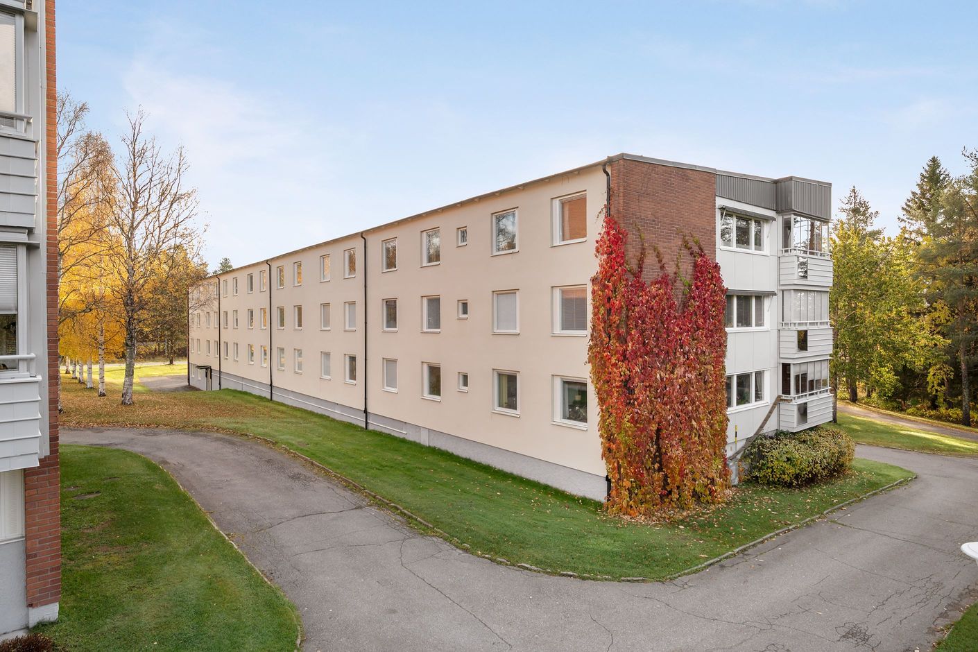 Exteriör