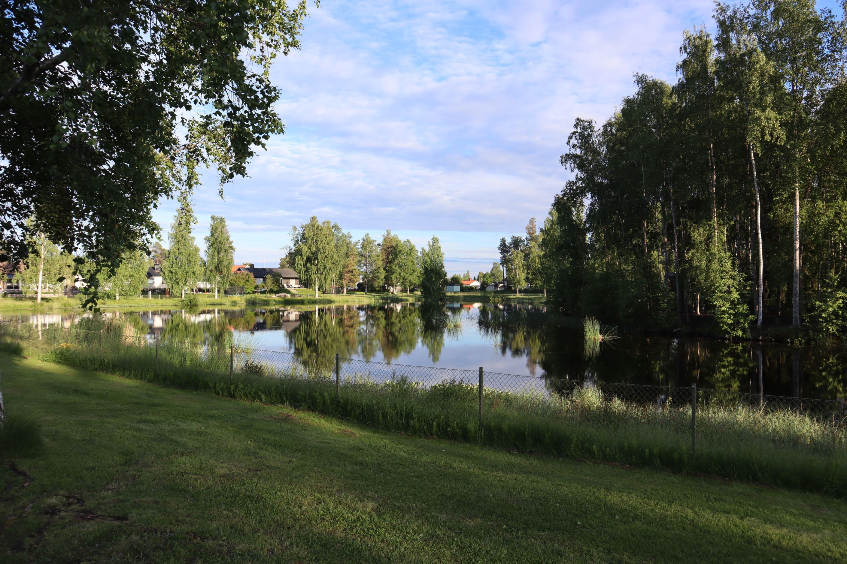Svandammen där man ser huset med rött tak längst bort i mitten