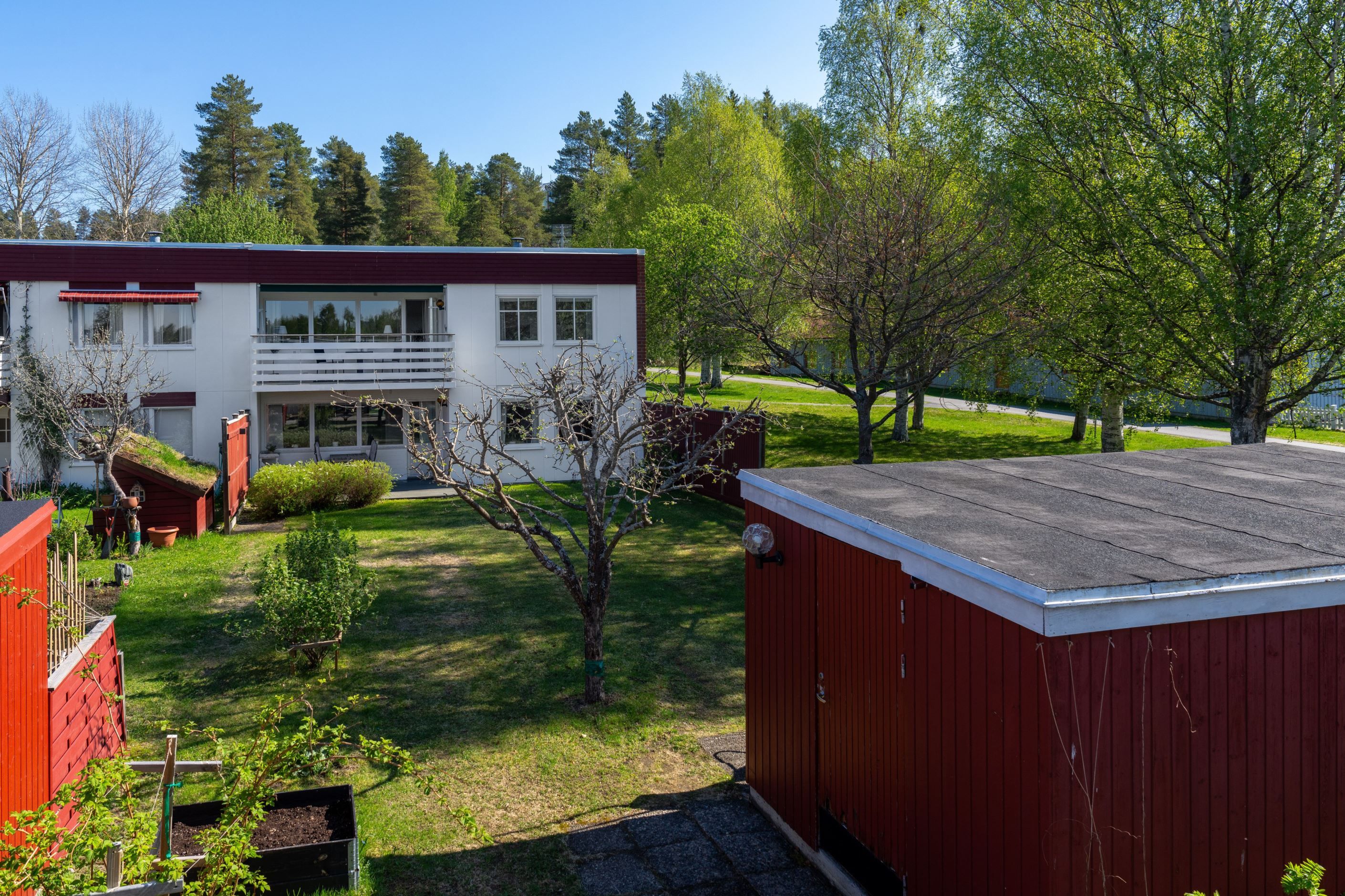 Exteriör