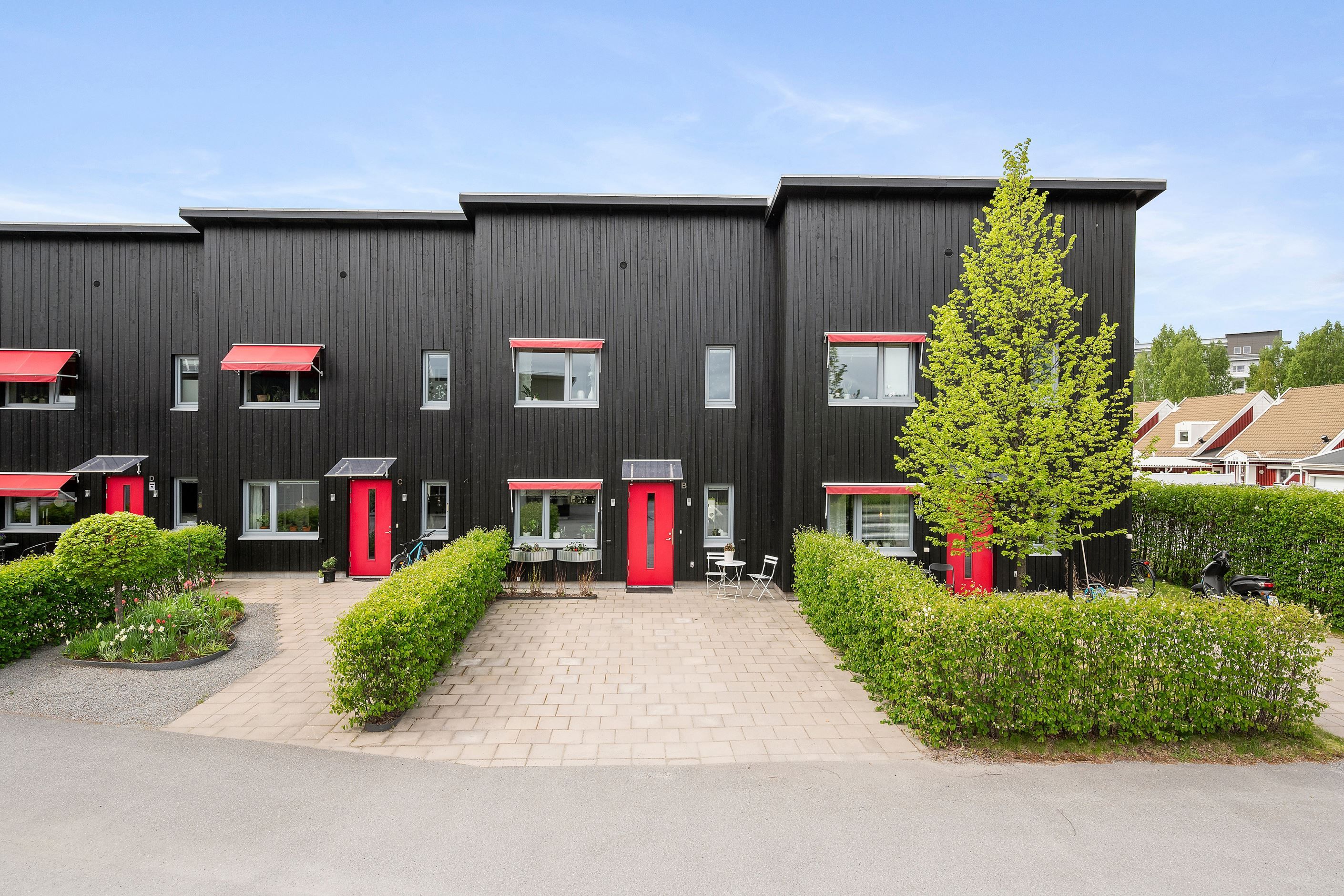 Exteriör