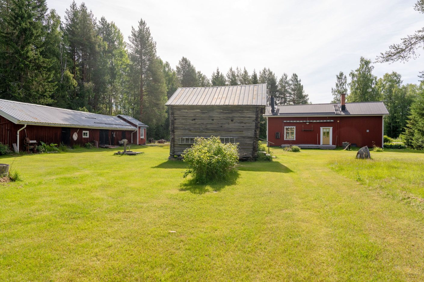 Bildkategori