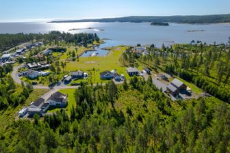 Boviken 578
