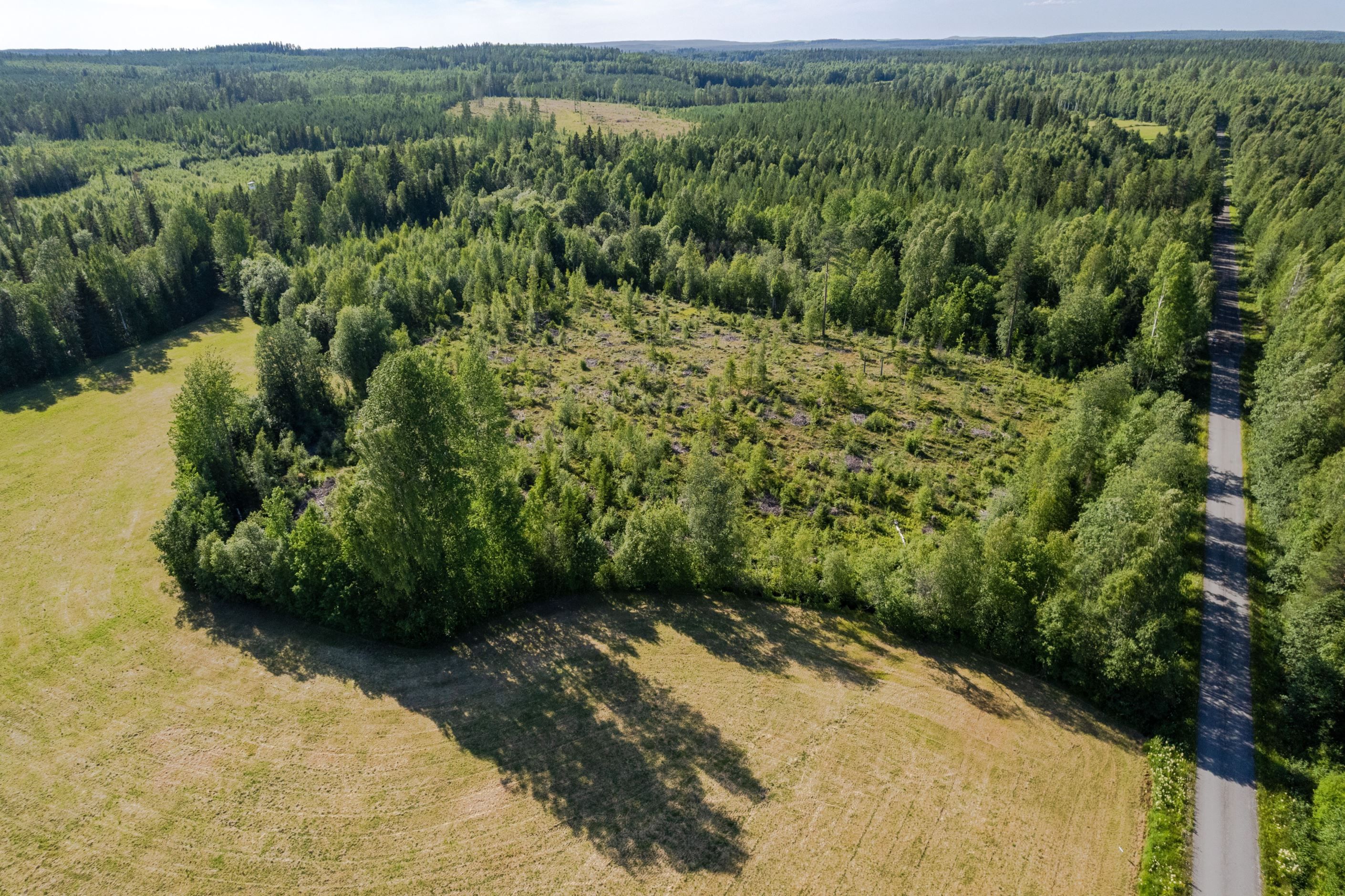 Bildkategori