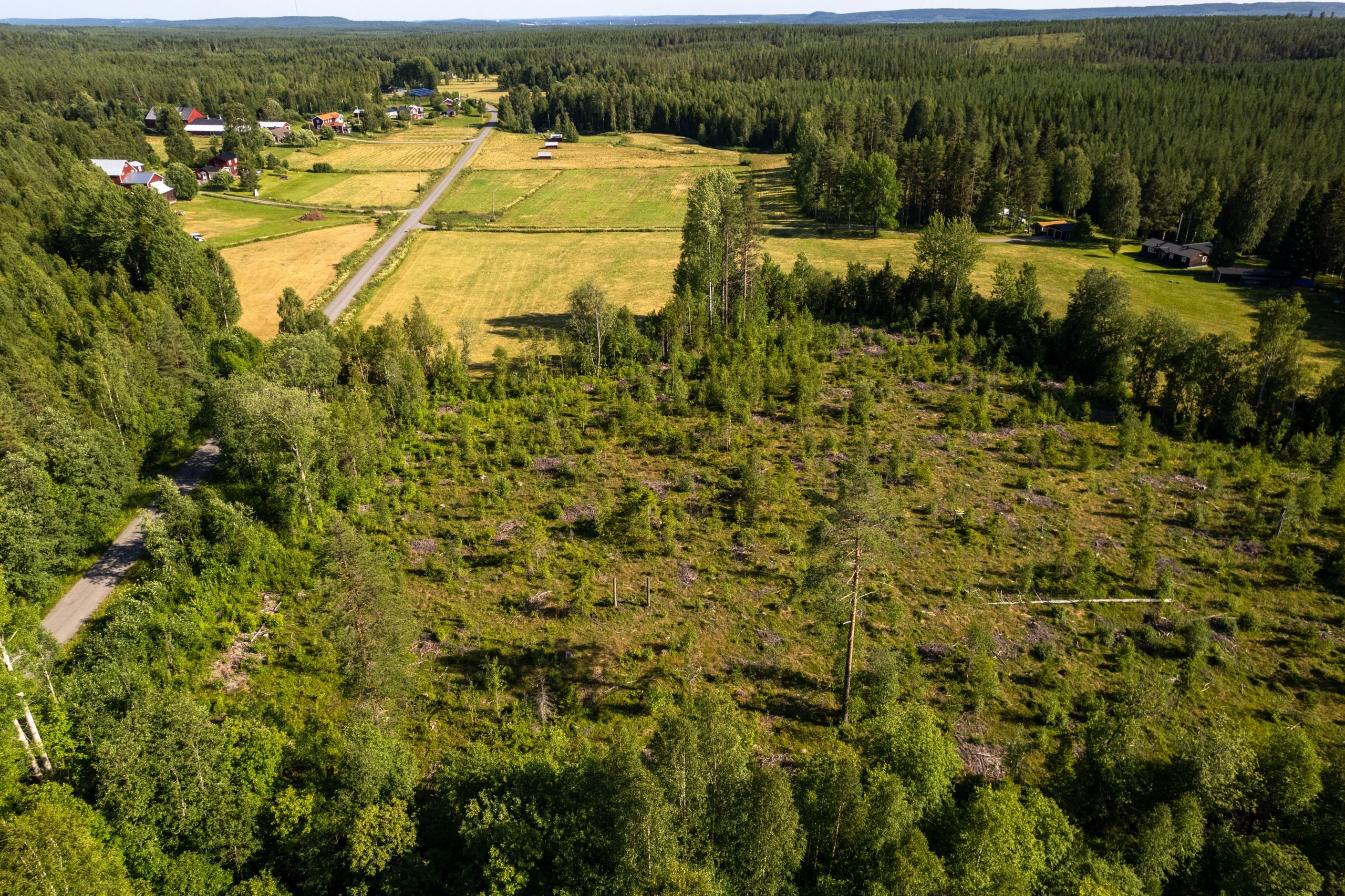 Bildkategori