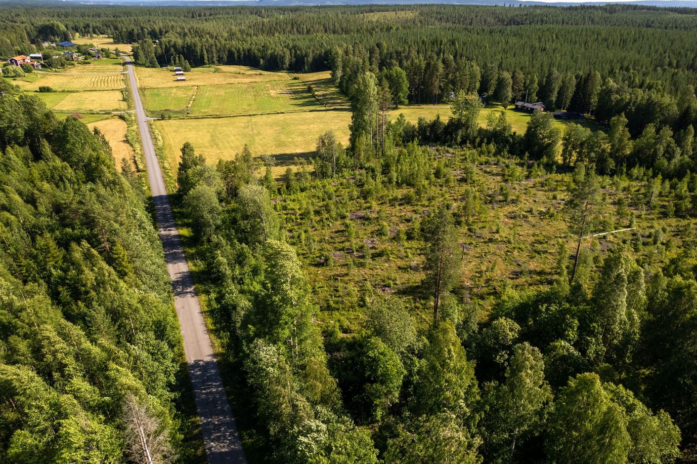 Bildkategori