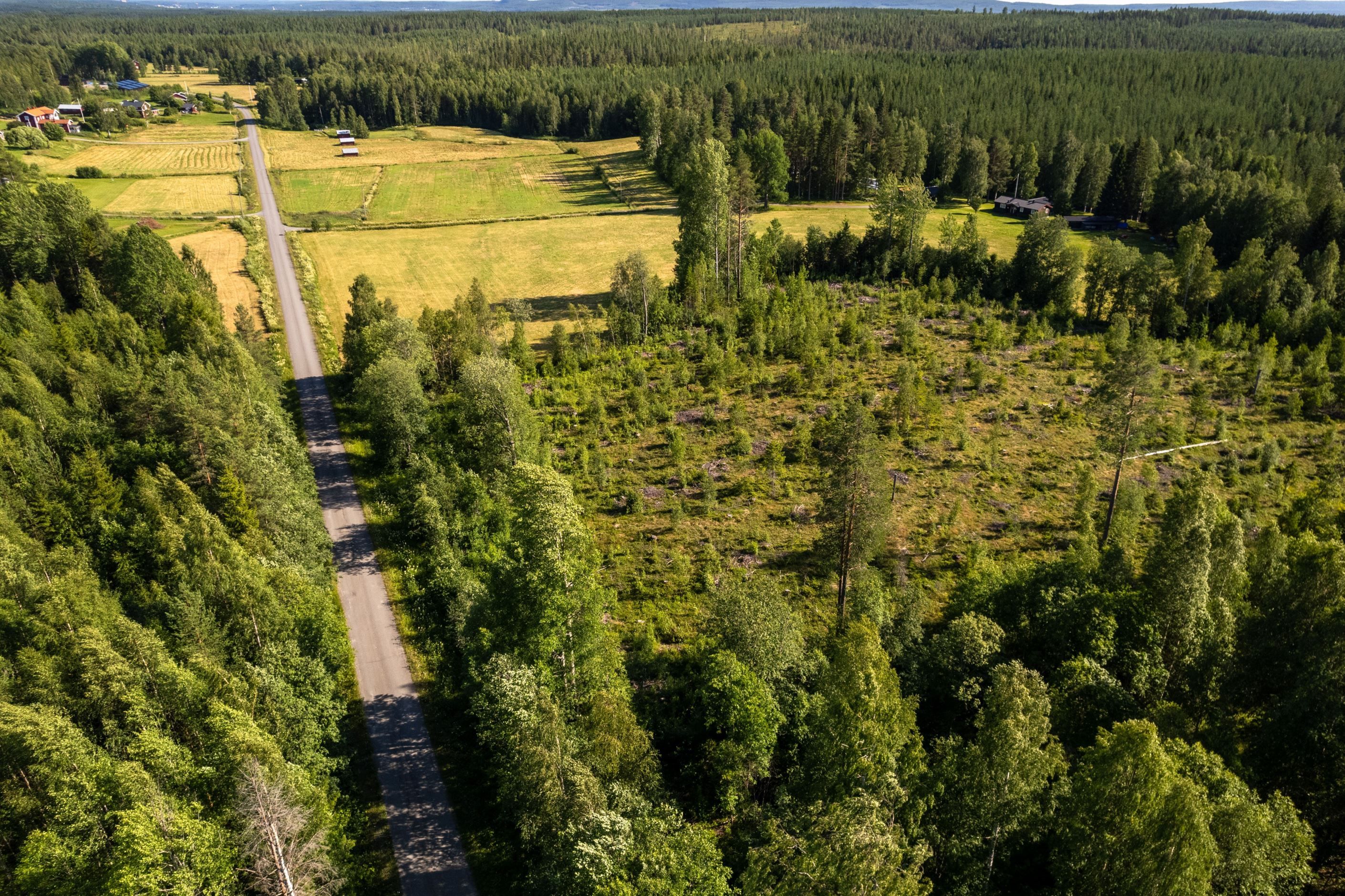 Bildkategori