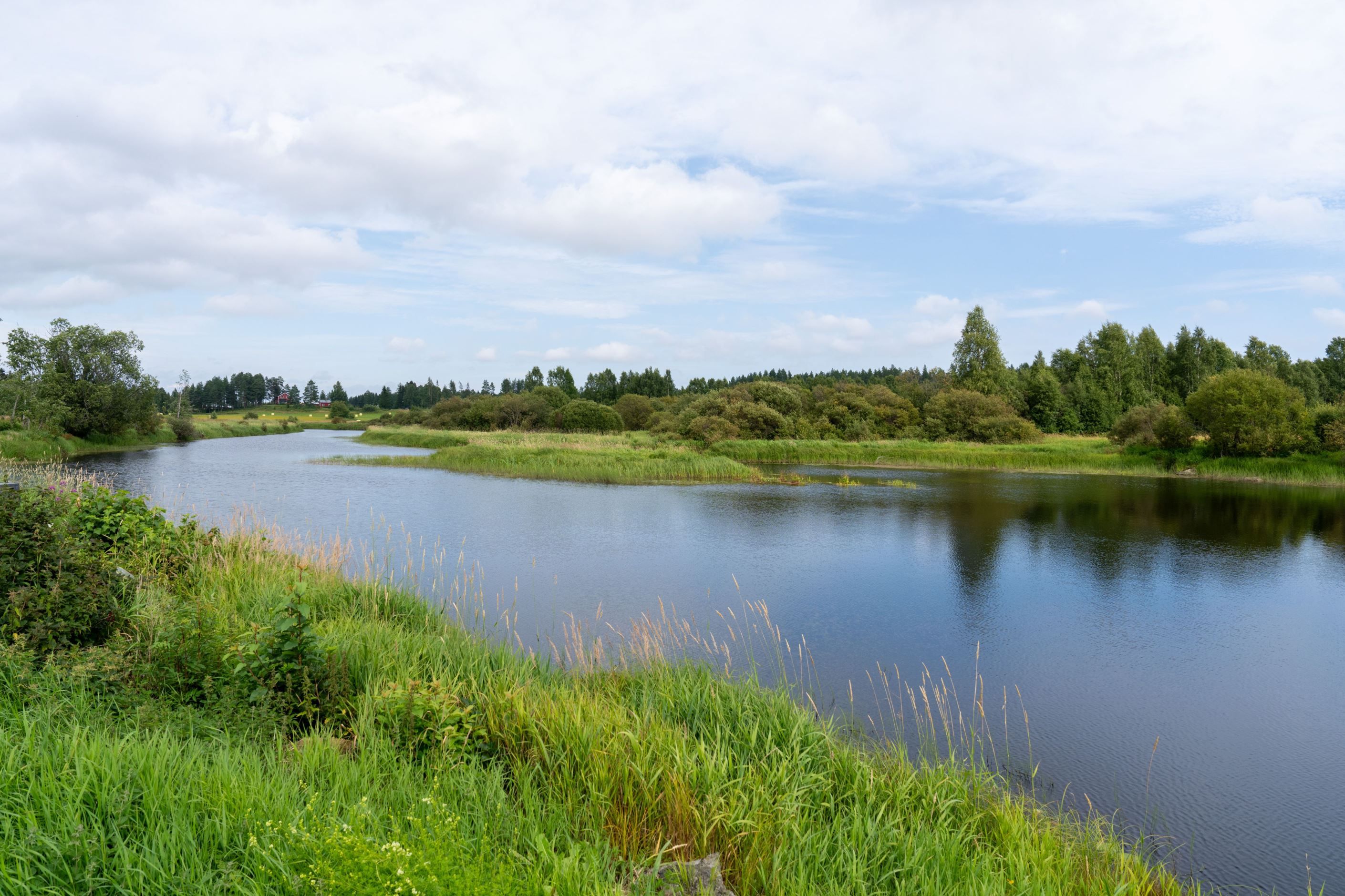 Bildkategori
