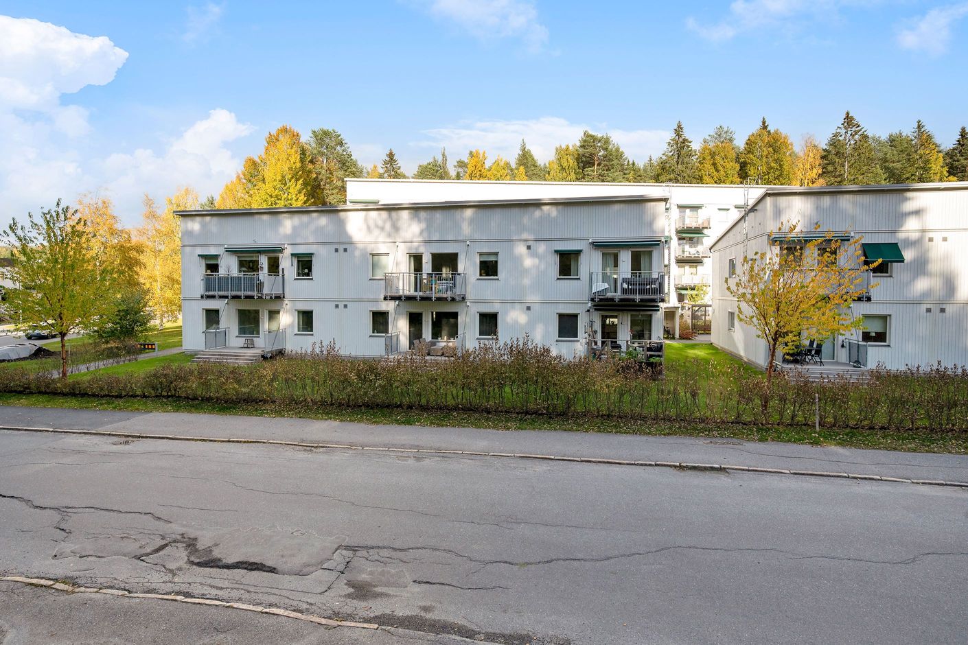 Exteriör