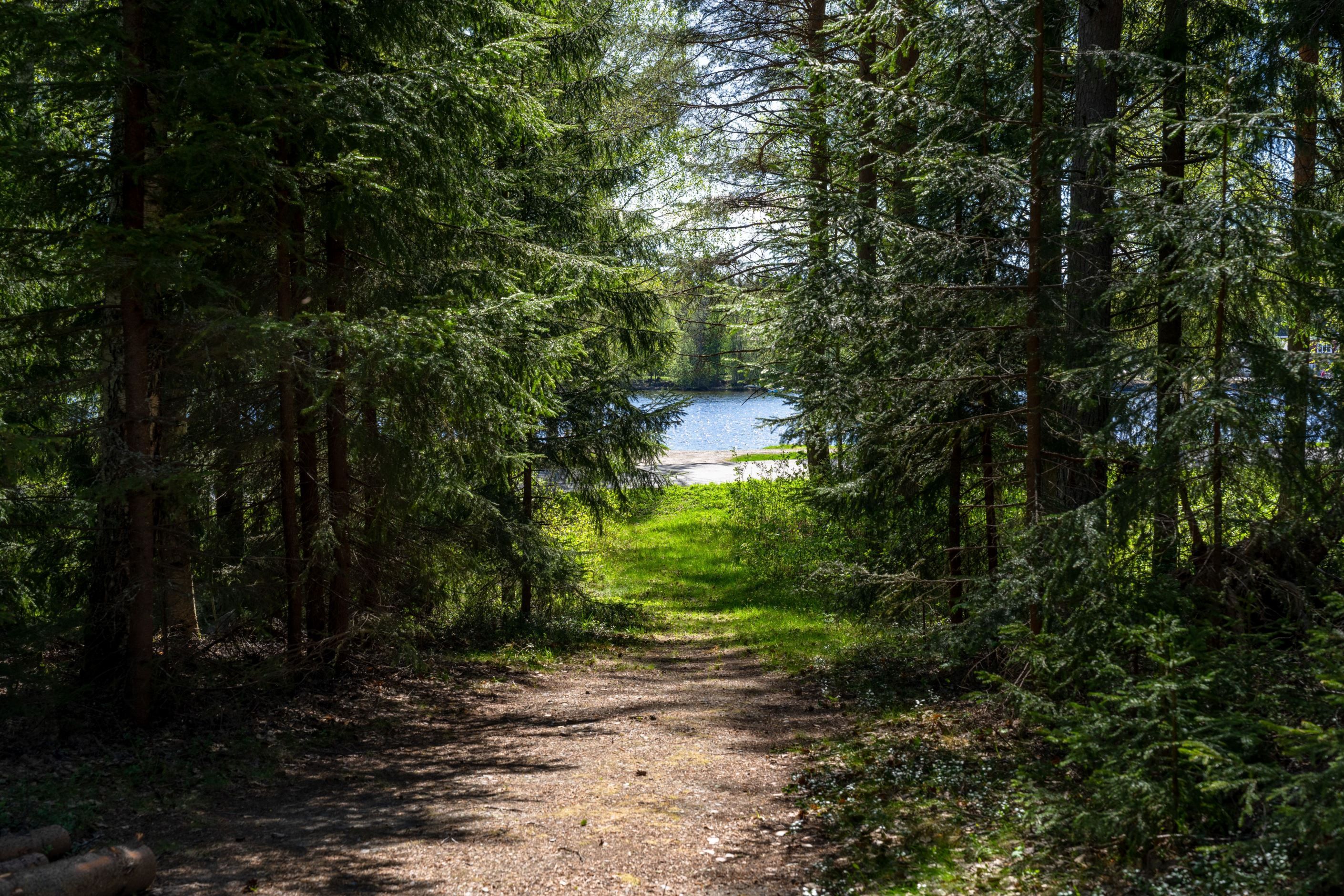 Områdesbild