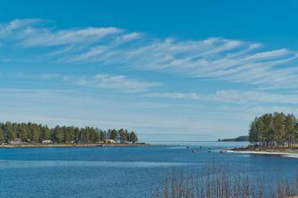 Boviken 1:228